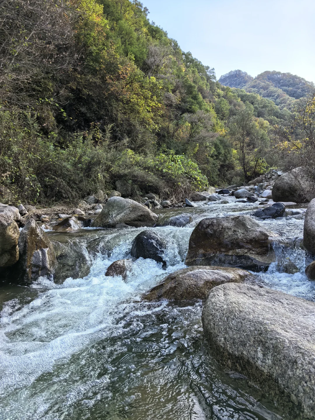 省管林场真职员重磅发文，打破谣言！