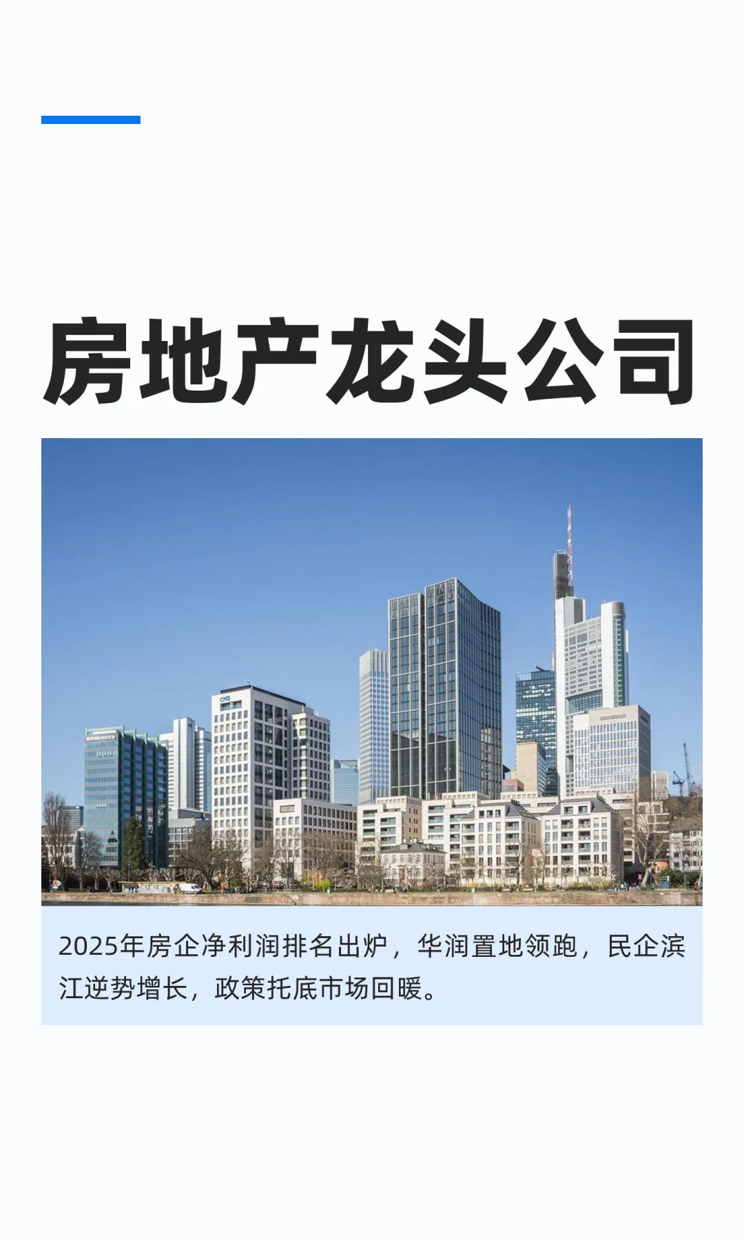 房地产龙头公司
