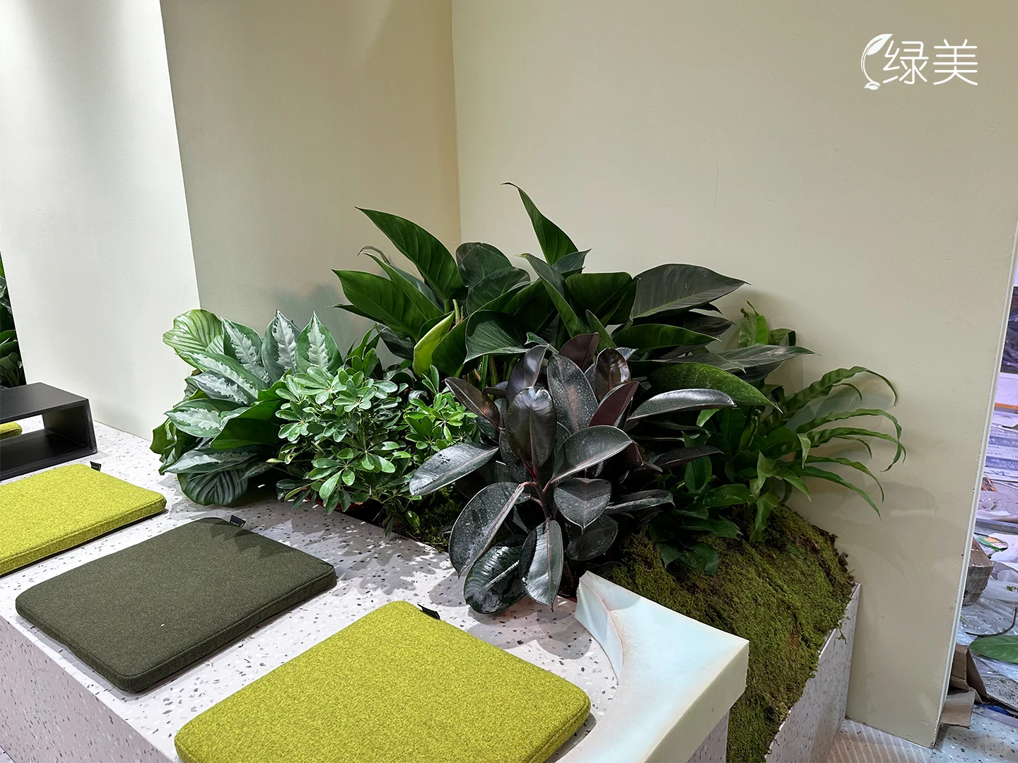 广州琶洲展会室内绿植设计 | 企业展厅布置