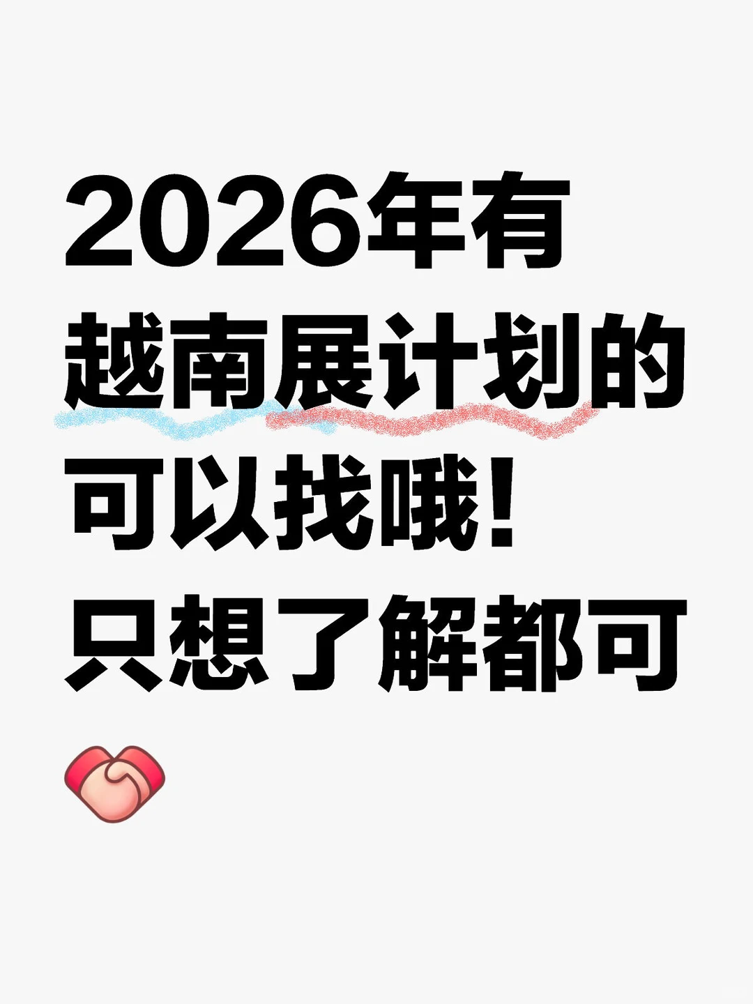 越南参展
