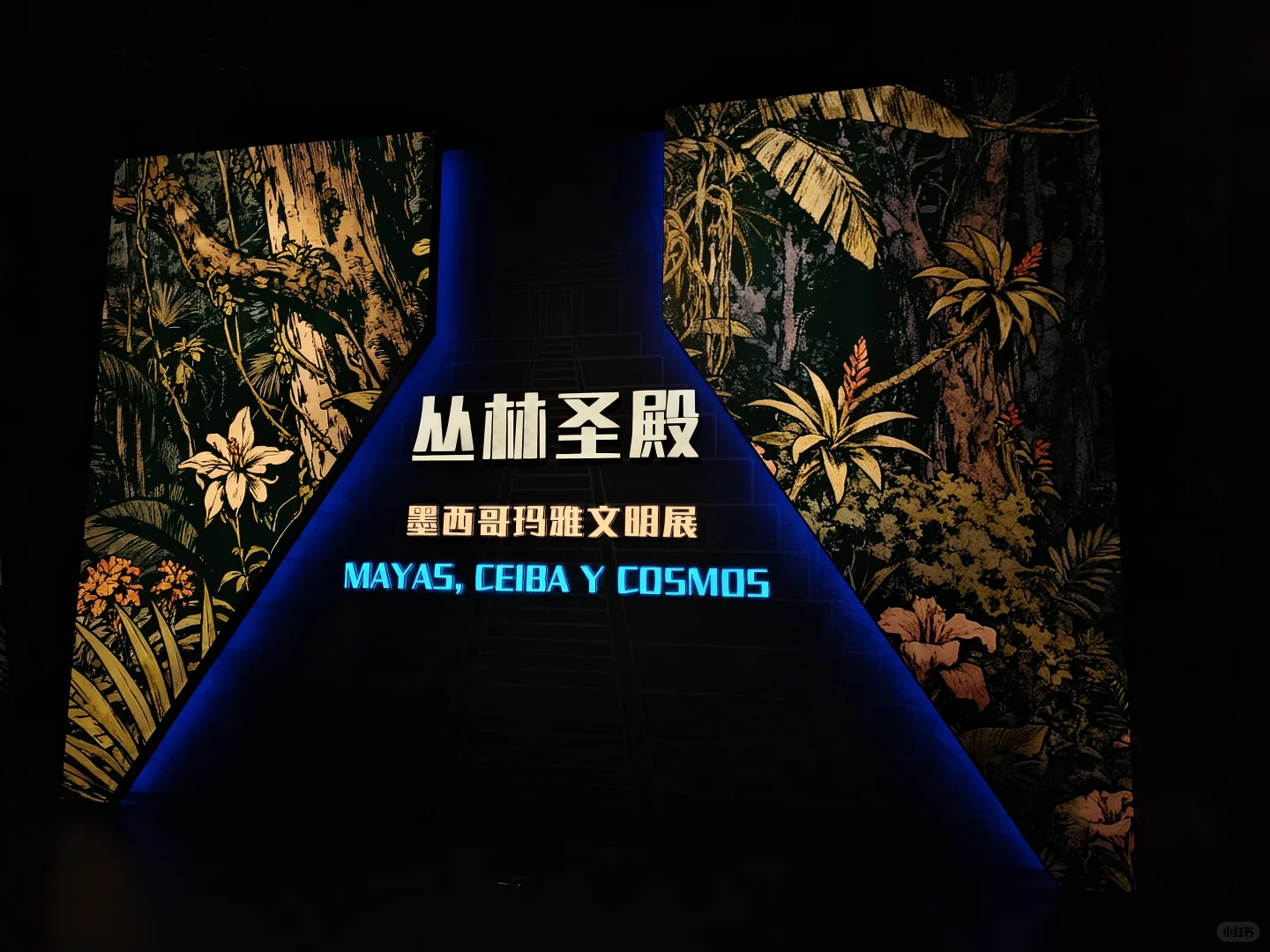 玛雅展