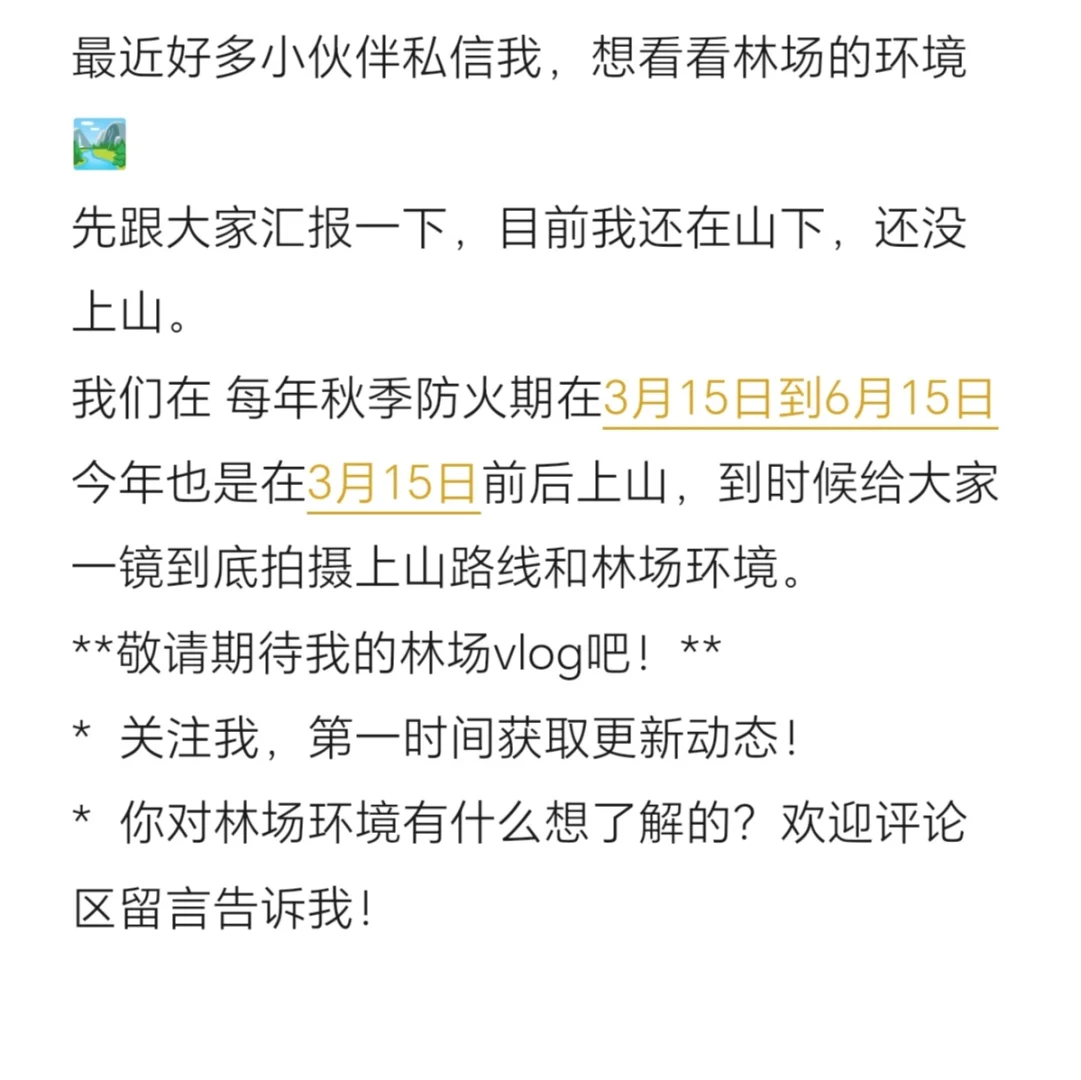 关于拍摄林区日常