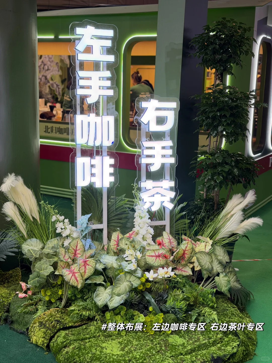 2025普洱茶咖博览会超全逛展攻略来了?️
