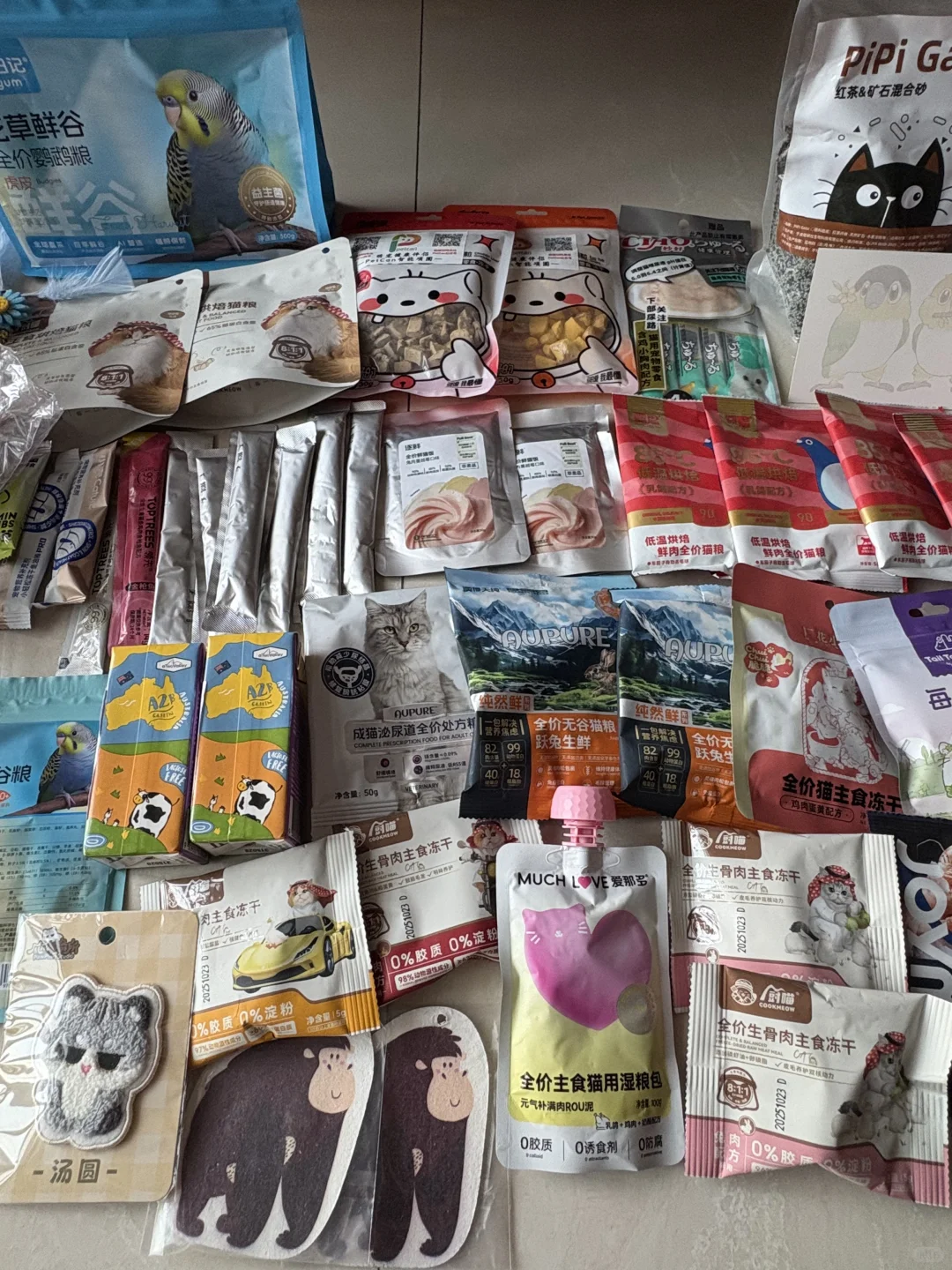深圳华南亚宠展薅羊毛✌️不枉费我起了个大早