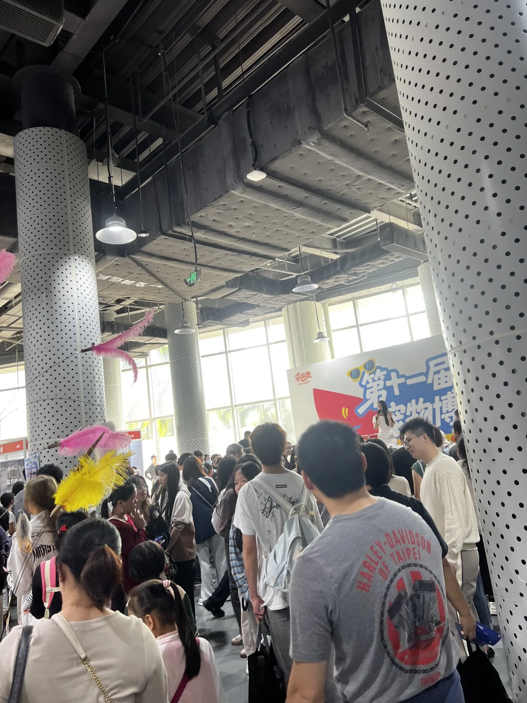 海南宠物博览会免费摄影、薅零食攻略！