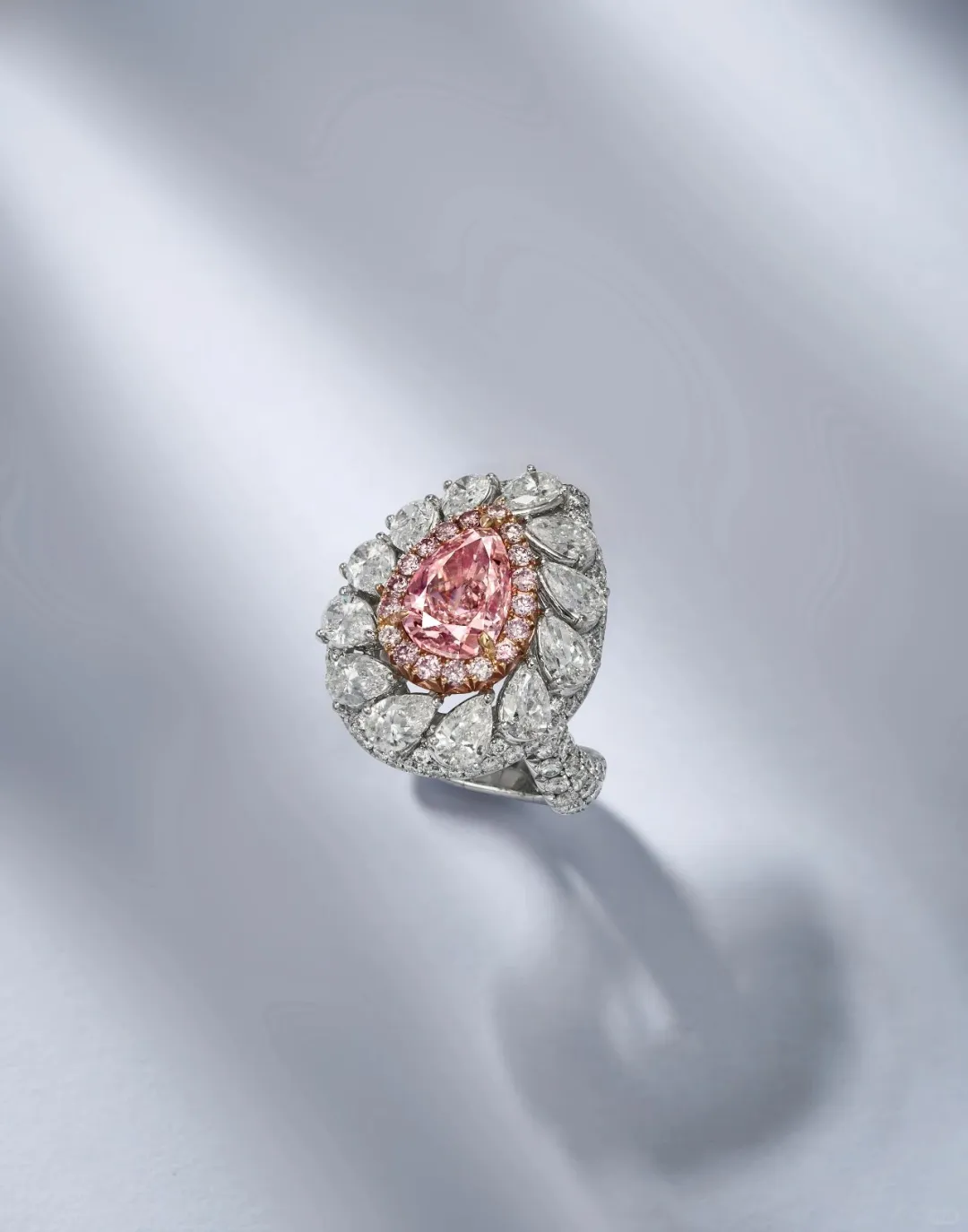 二十周年秋拍预展丨每日招募30位看展达人