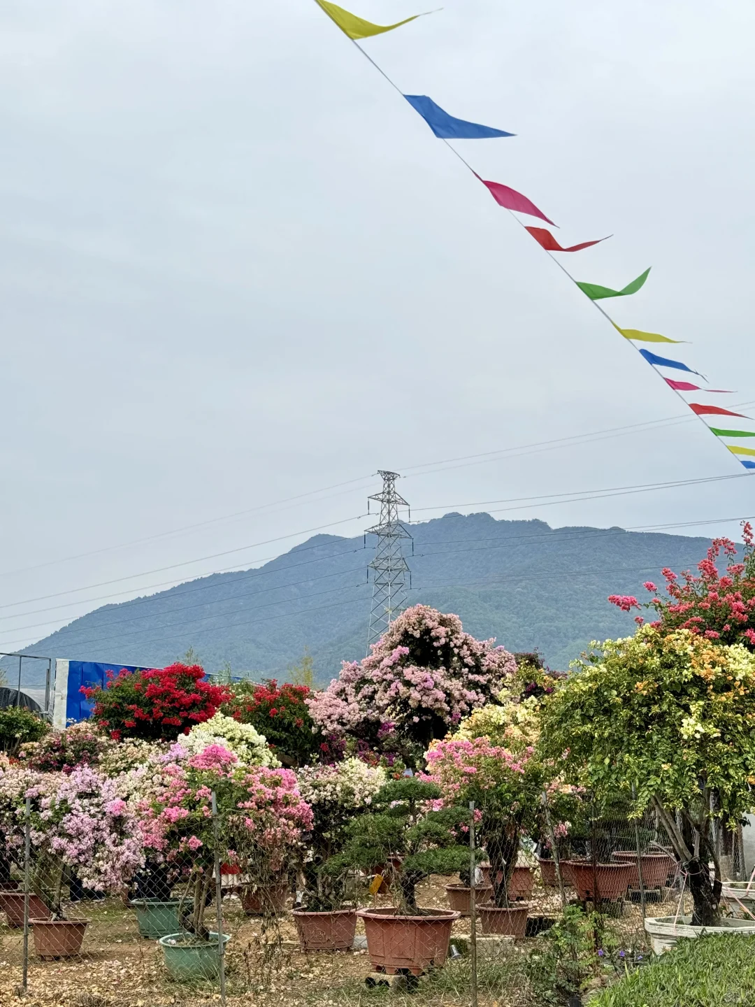 感觉今天1/3的桂林人都来了这里