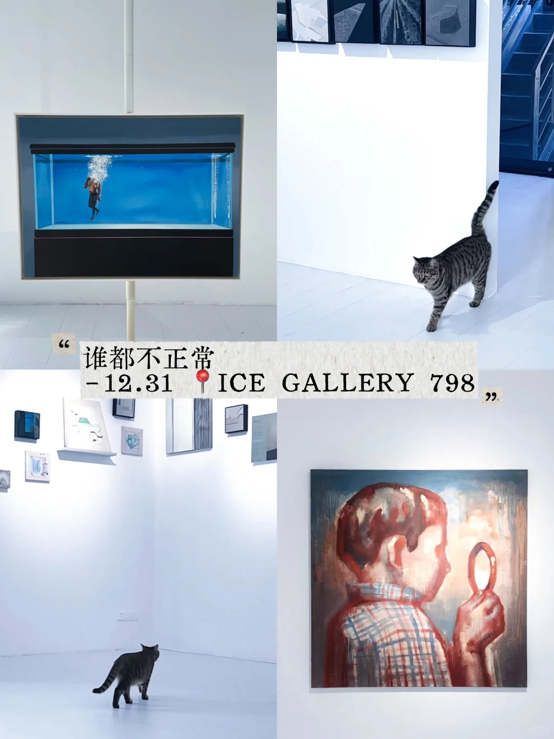 北京12月展览合集）?适合一个人逛一下午