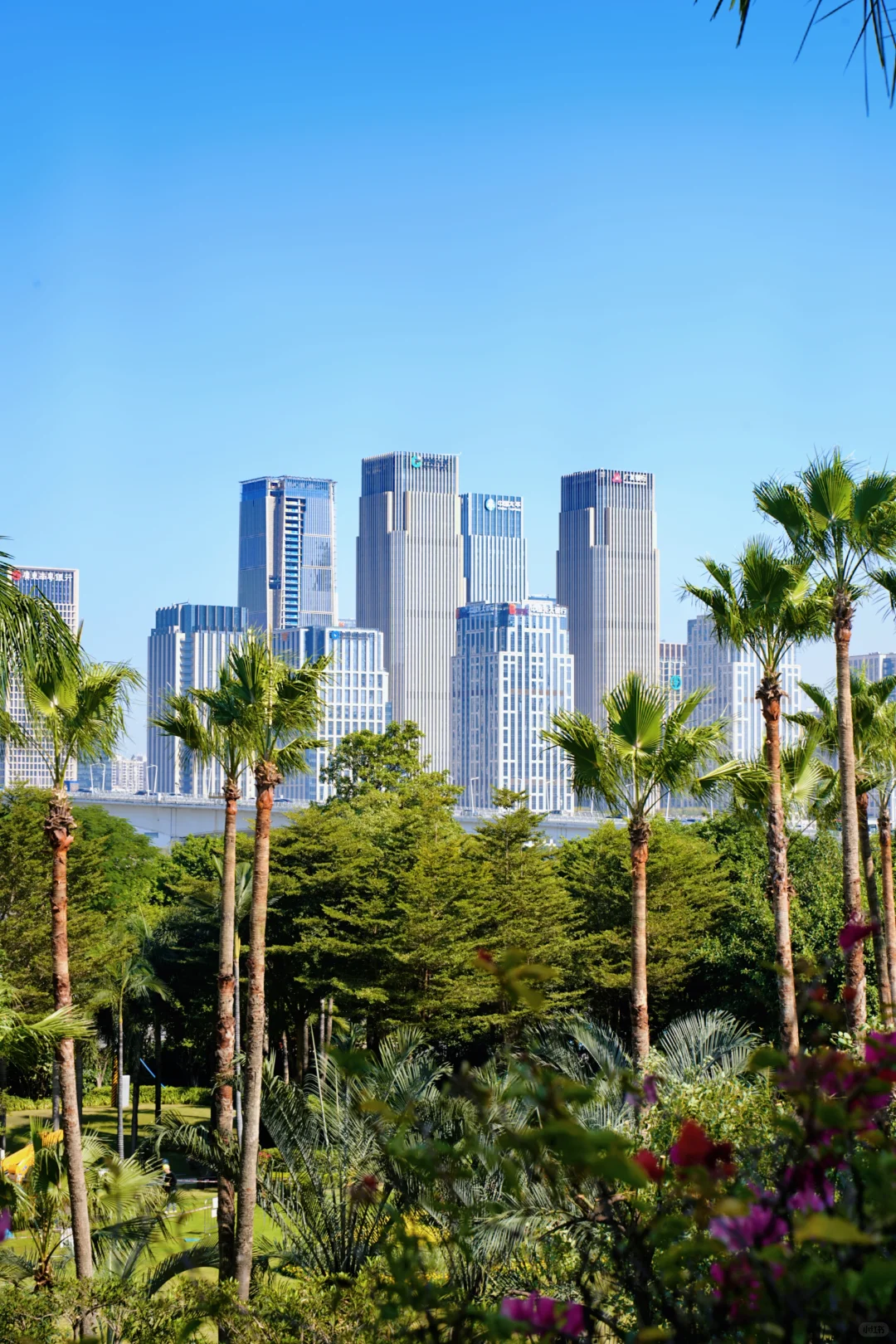 从毕业到商业摄影，我选择自由搞钱看世界