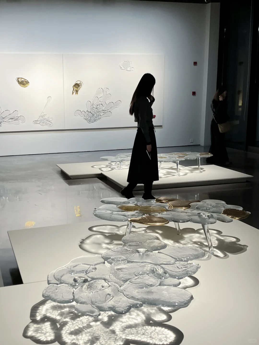 上海免费看展｜2个新展·多巴胺激活计划?