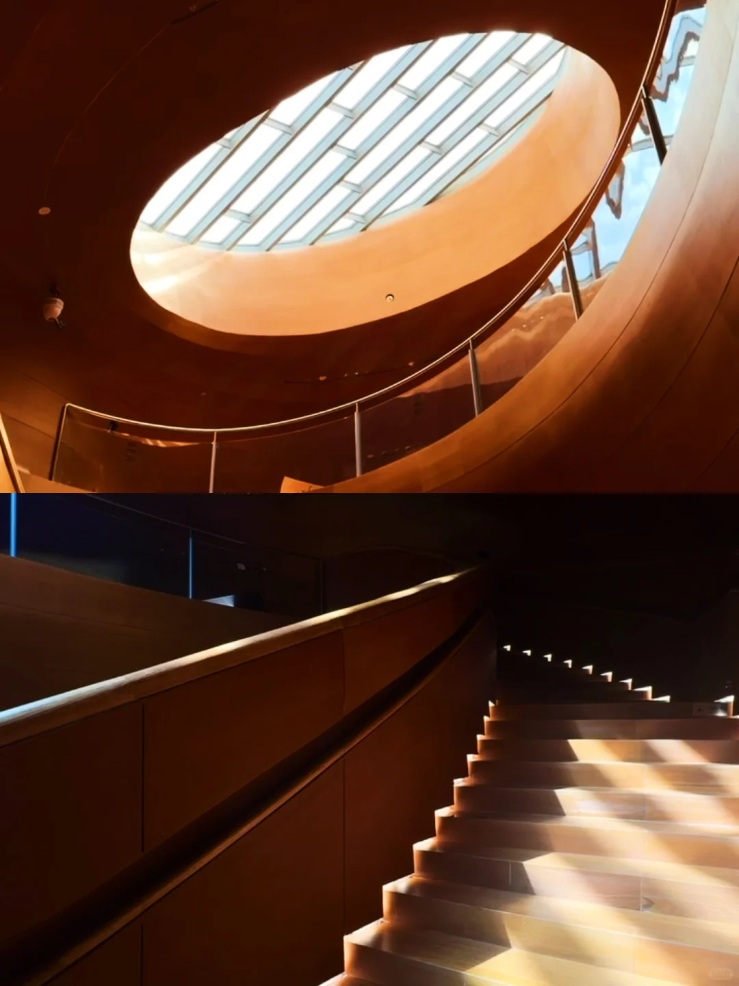 深圳顶流新地标?逛透8展+绝佳拍摄打卡点