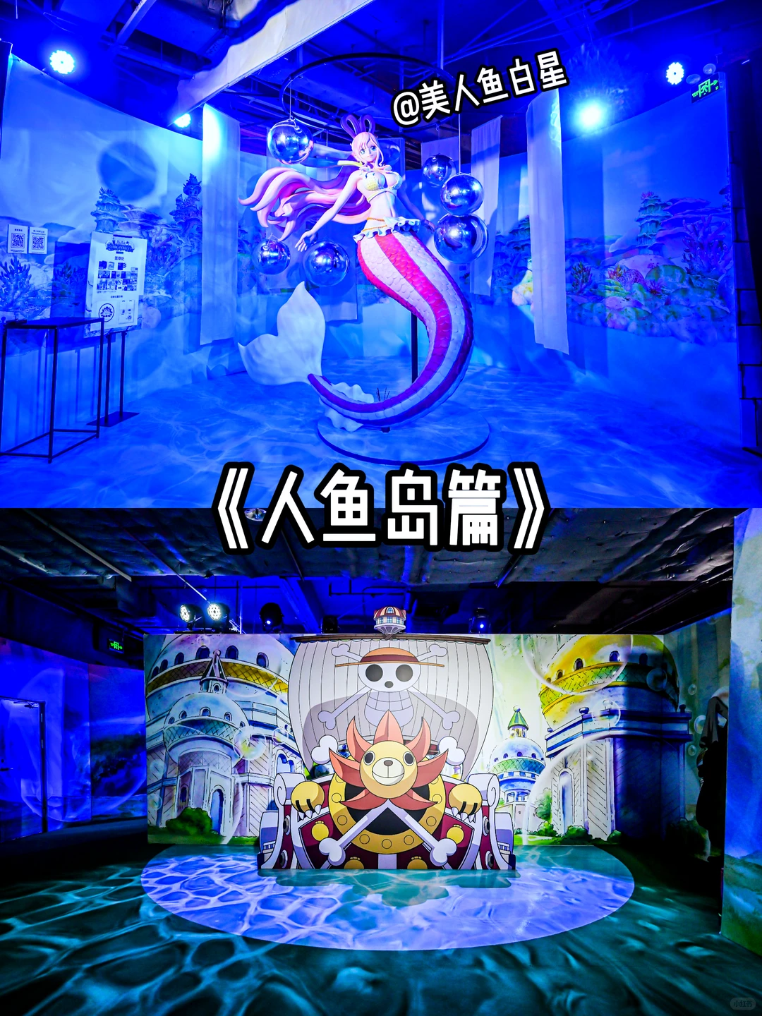 《航海王》大航海时代动漫展(广州站)~来啦