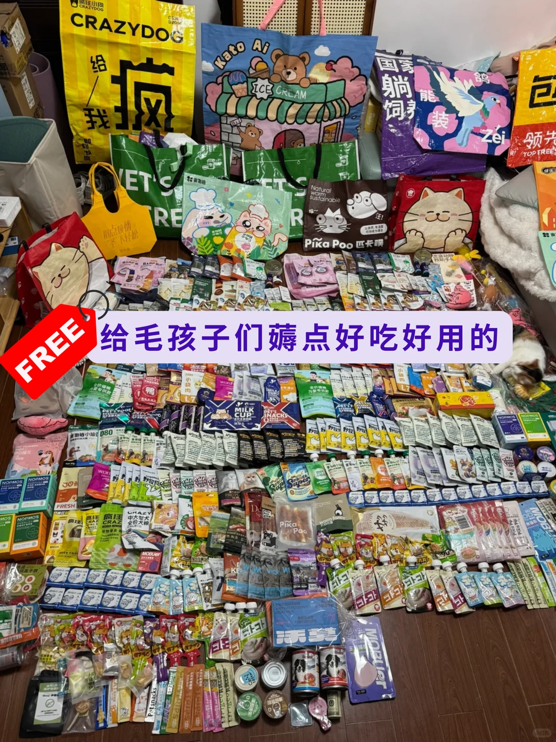 本周末！在深圳！铲屎官免费去逛亚宠展啦！