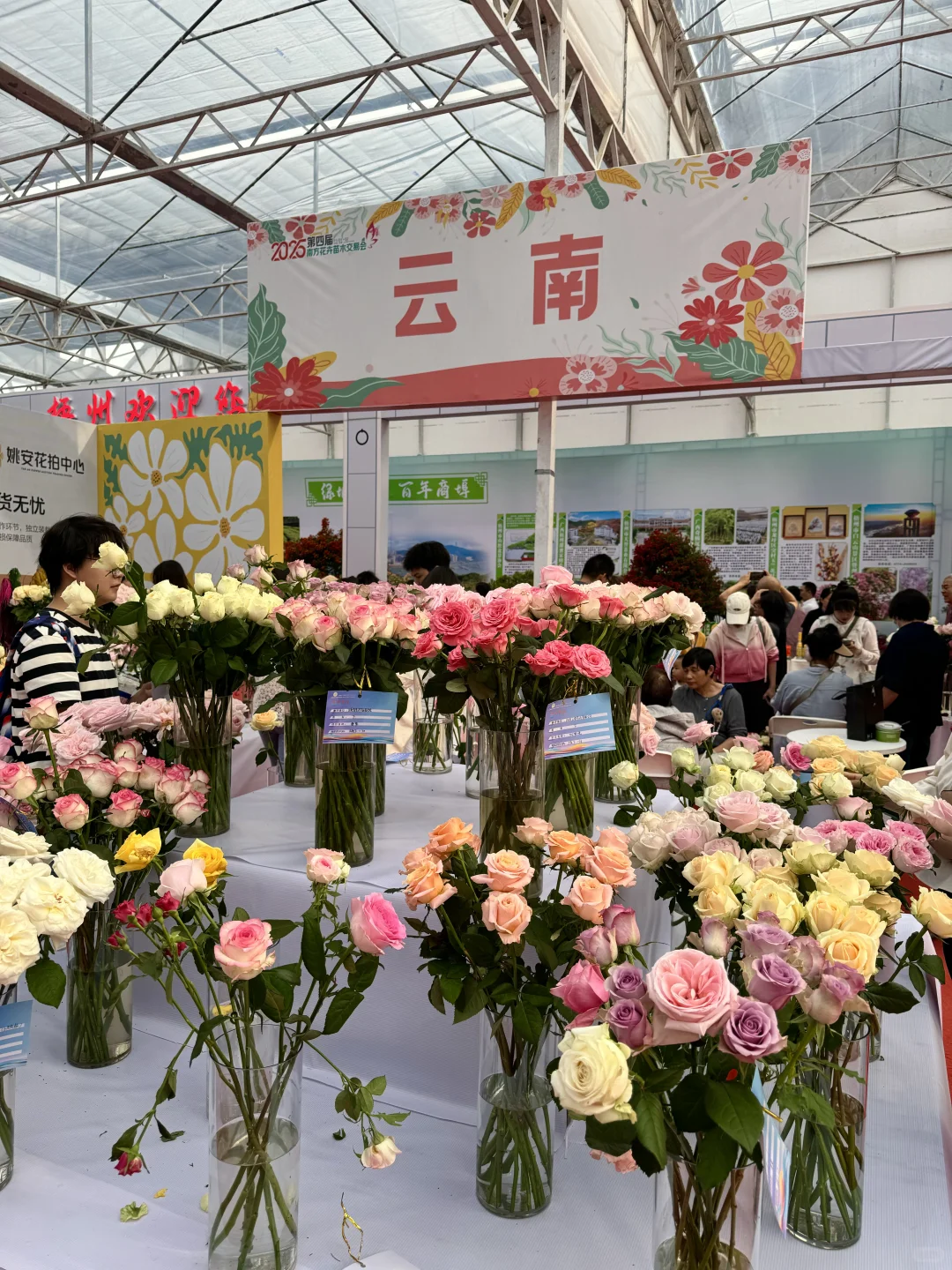 感觉今天1/3的桂林人都来了这里