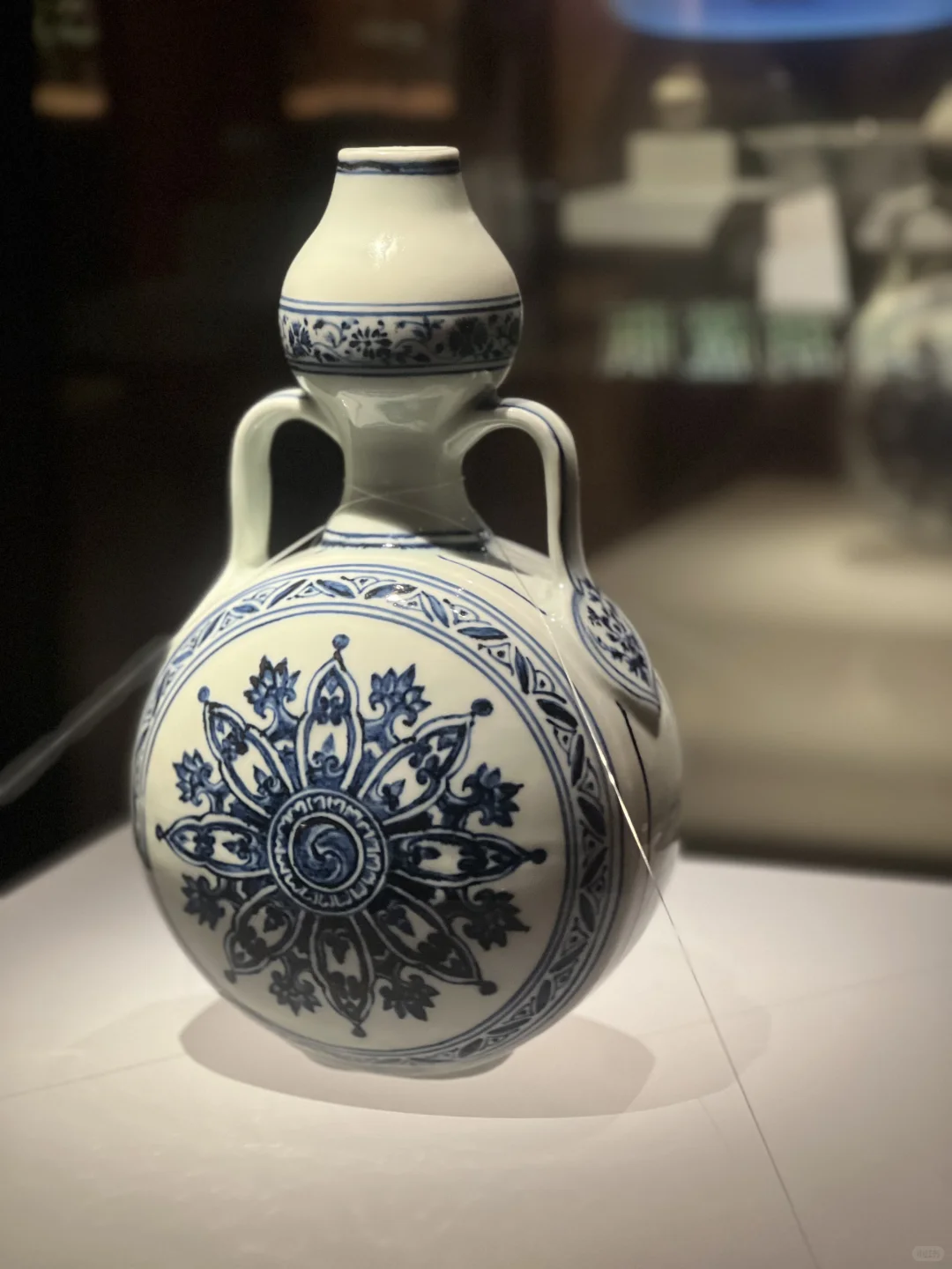 澳门的漂亮展都是免费的