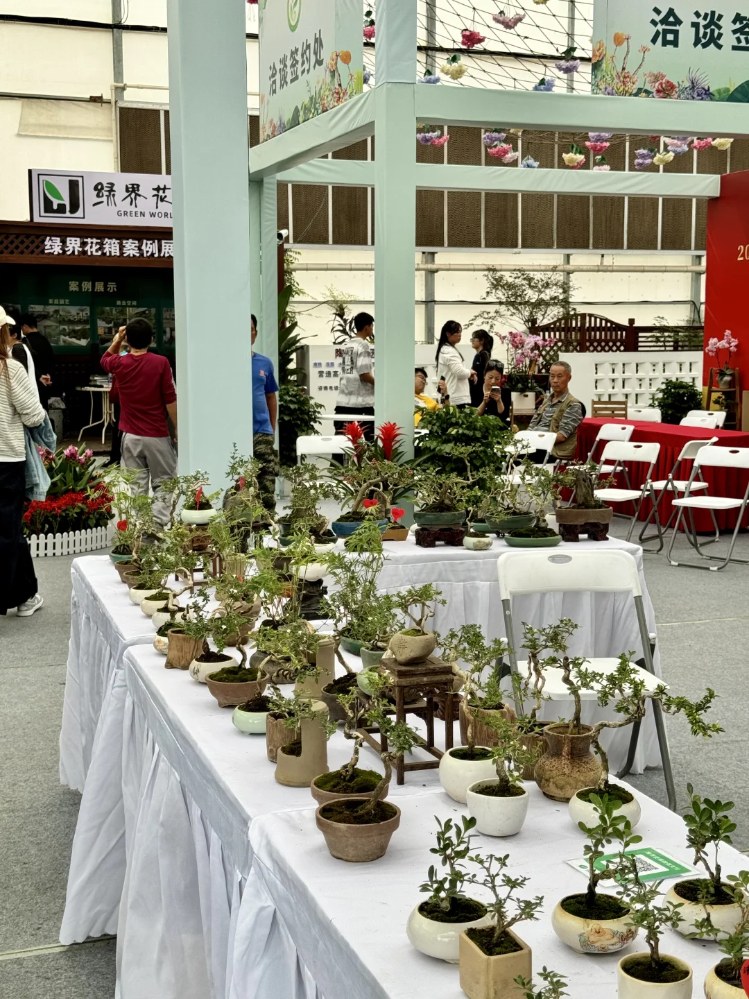 感觉今天1/3的桂林人都来了这里