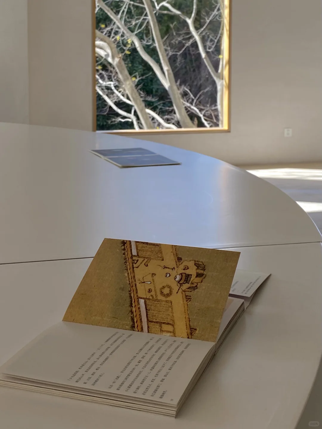 杭州新展 | 一个像夏天，一个像秋天