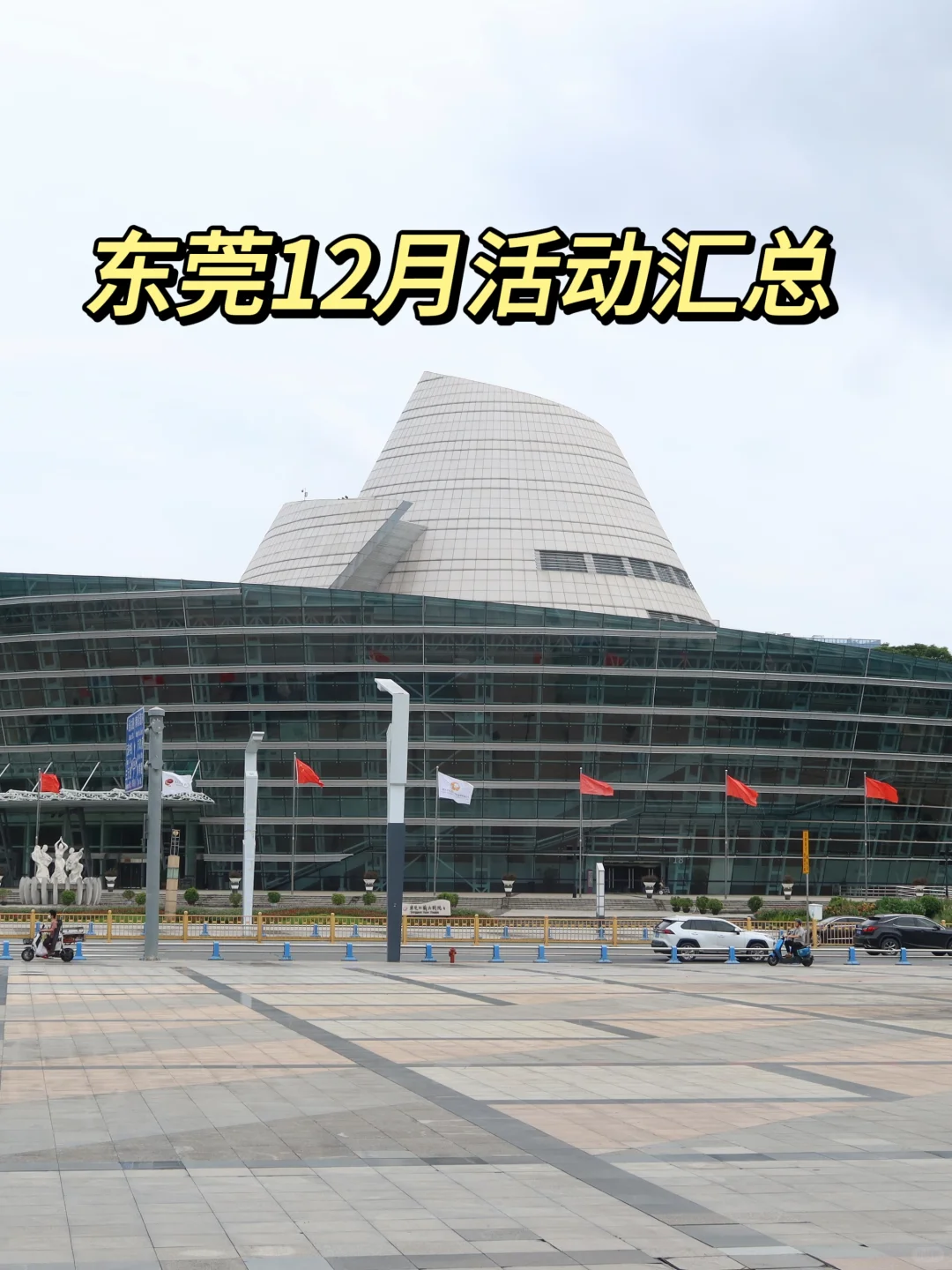 东莞12月活动汇总