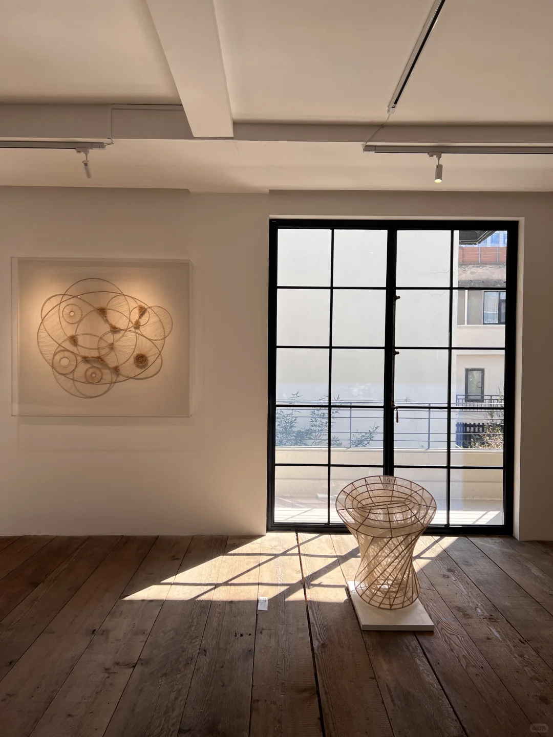 上海近期坠值得看的新展?美到失语了…
