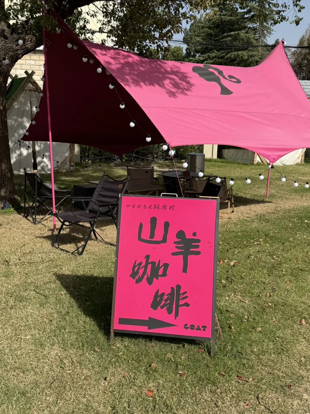 佘山30周年大升级！上海周末游新地标冲啊！