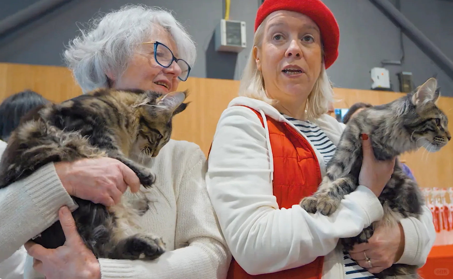 ?法国巴黎宠物用品展览会EXPOZOO?