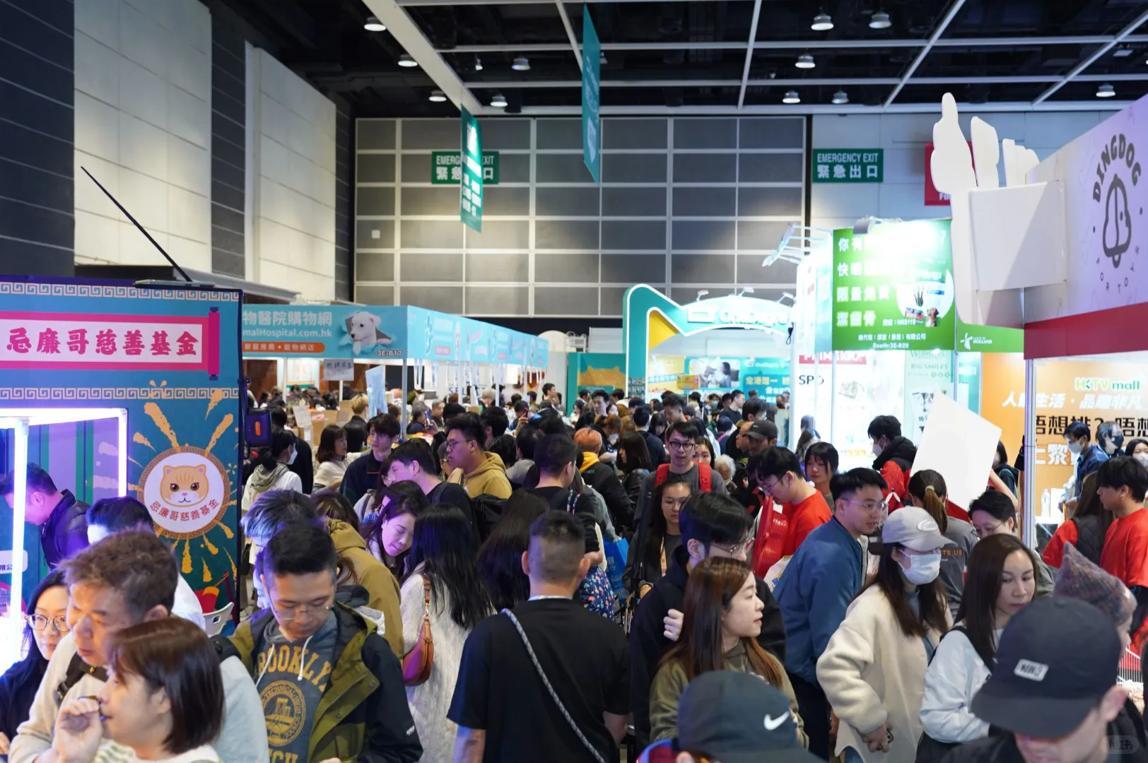 香港宠物节2026定档！冲鸭！