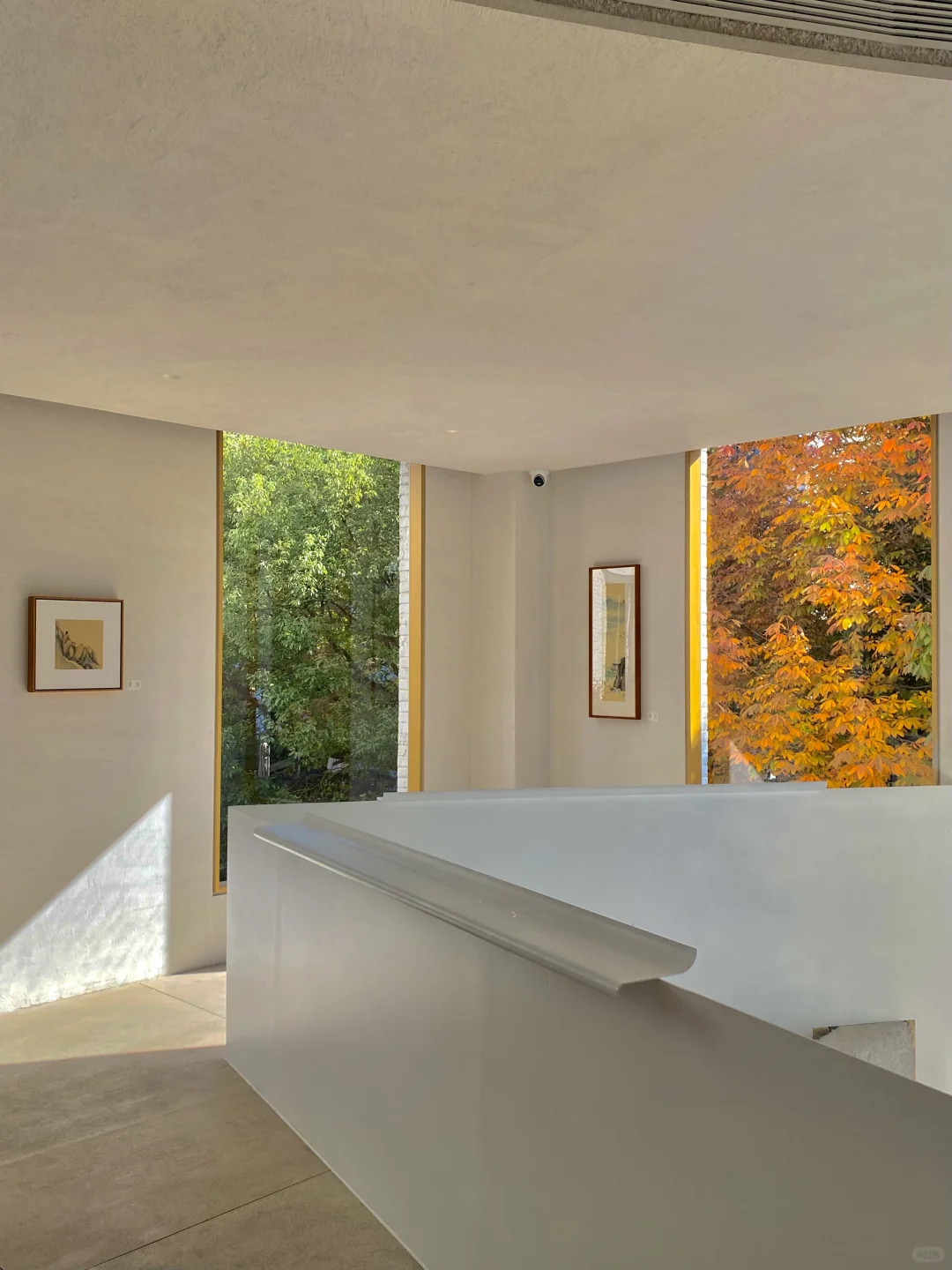 杭州新展 | 一个像夏天，一个像秋天