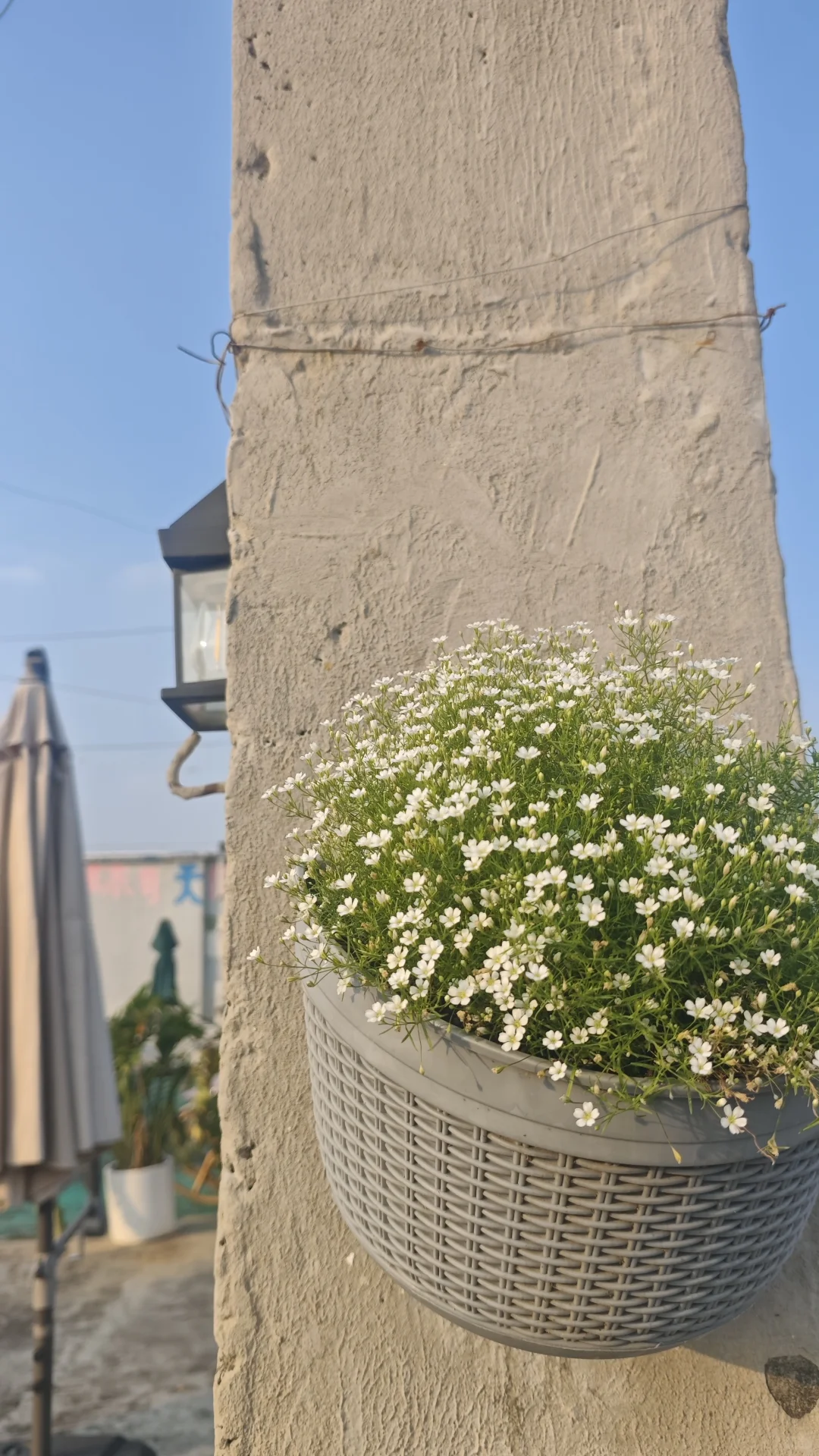 在花园里做投资交易会是一种什么体验