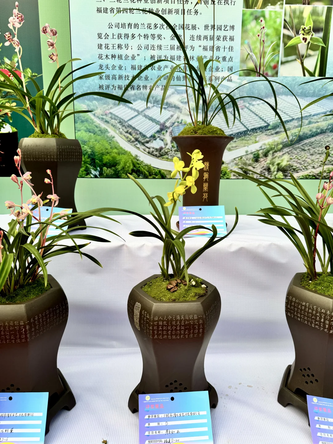 感觉今天1/3的桂林人都来了这里