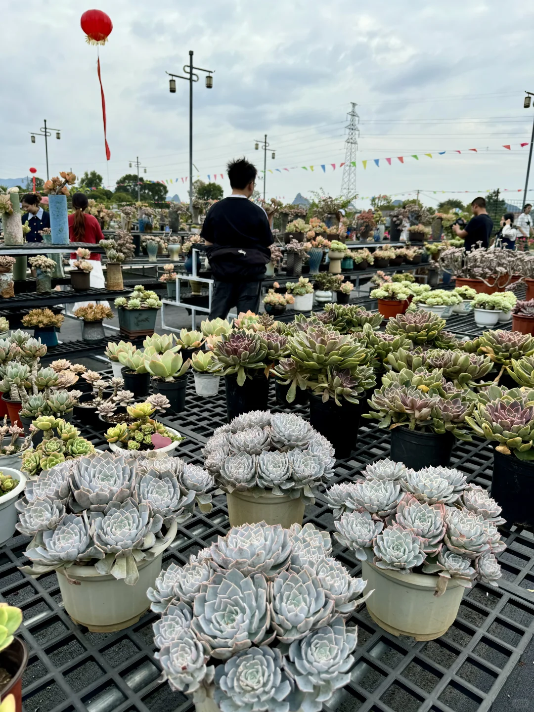 感觉今天1/3的桂林人都来了这里