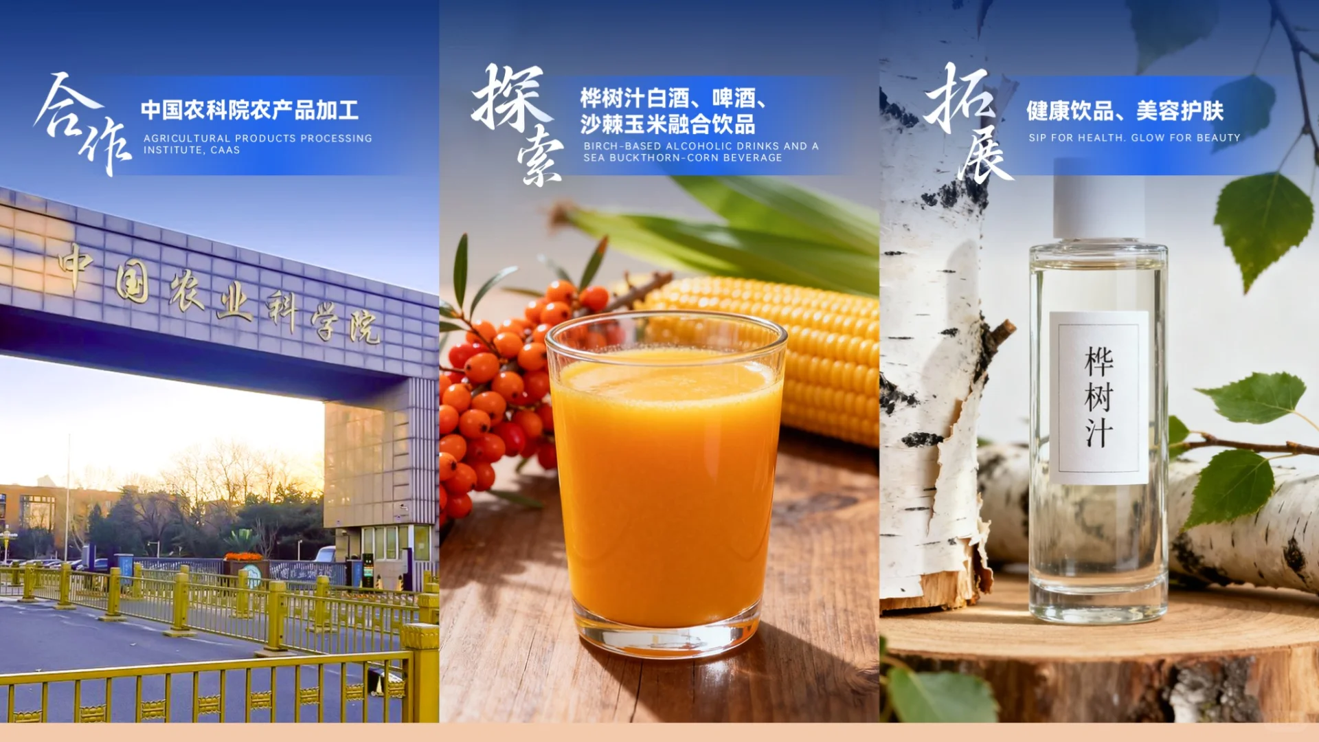 高端推介PPT 案例分享！