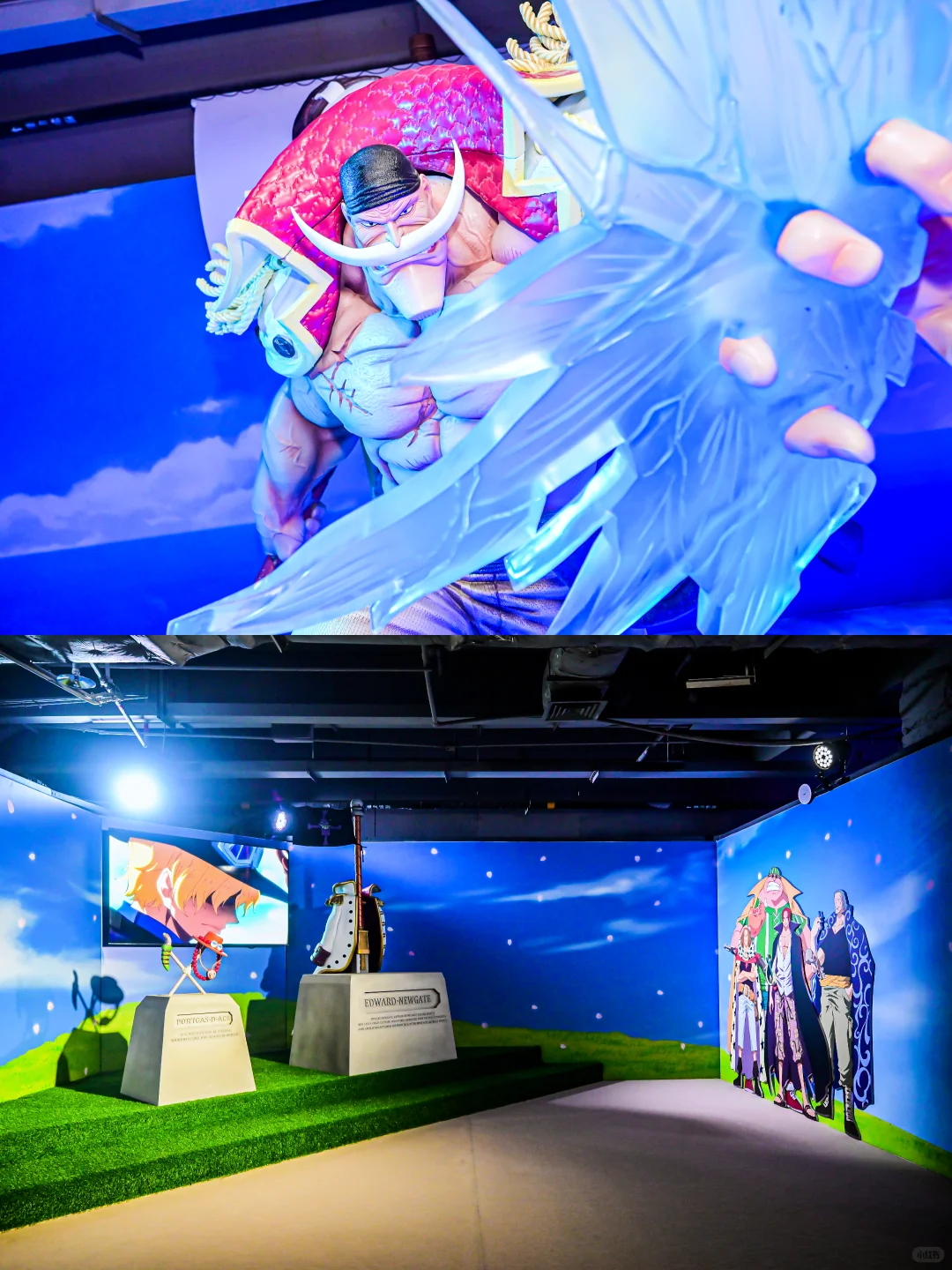 《航海王》大航海时代动漫展(广州站)~来啦