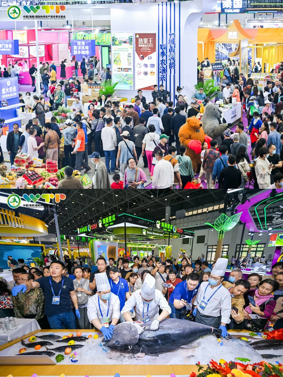 冬交会 圆满落幕啦 人山人海