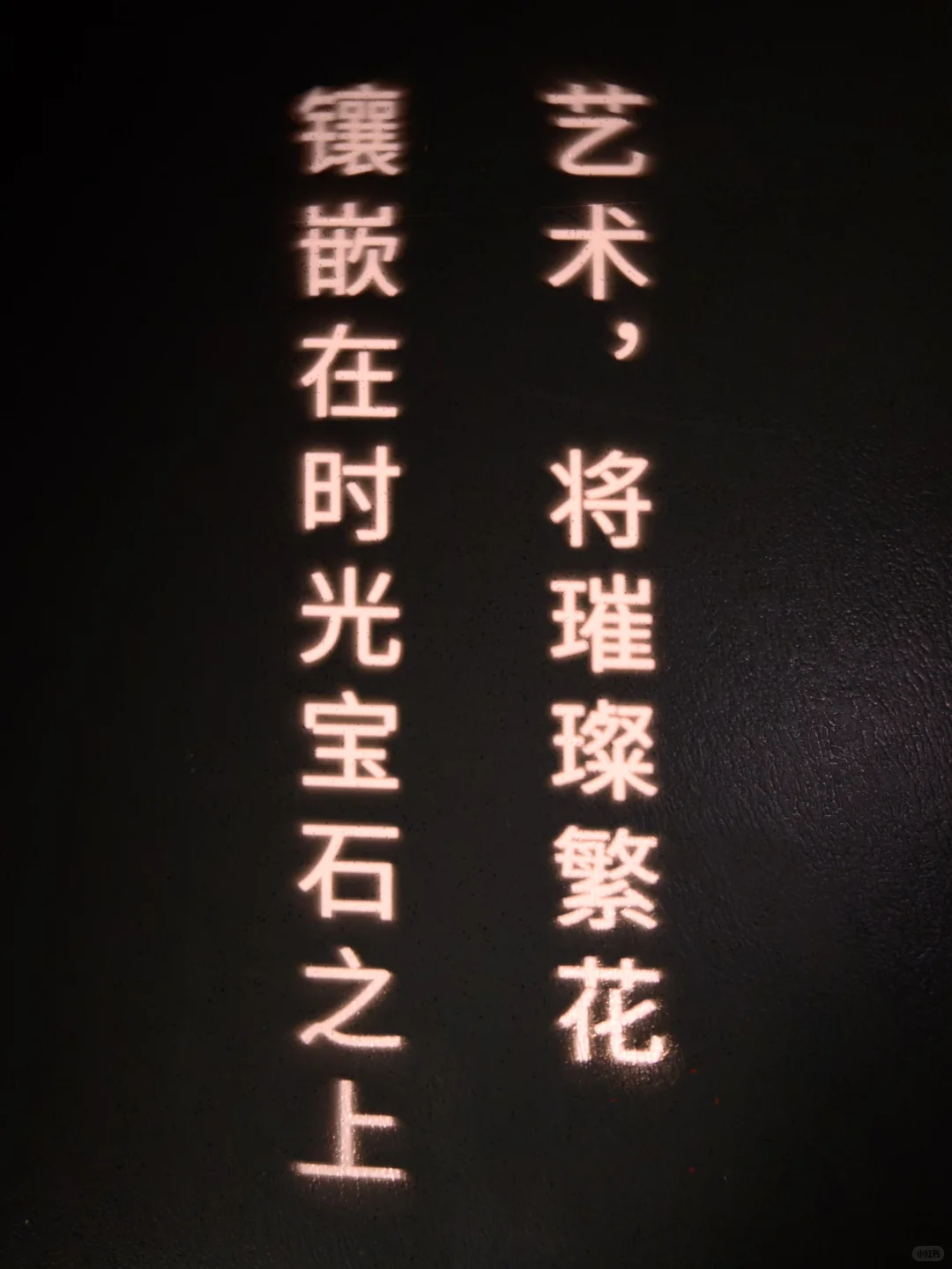 深圳丨深博丨繁花与利剑