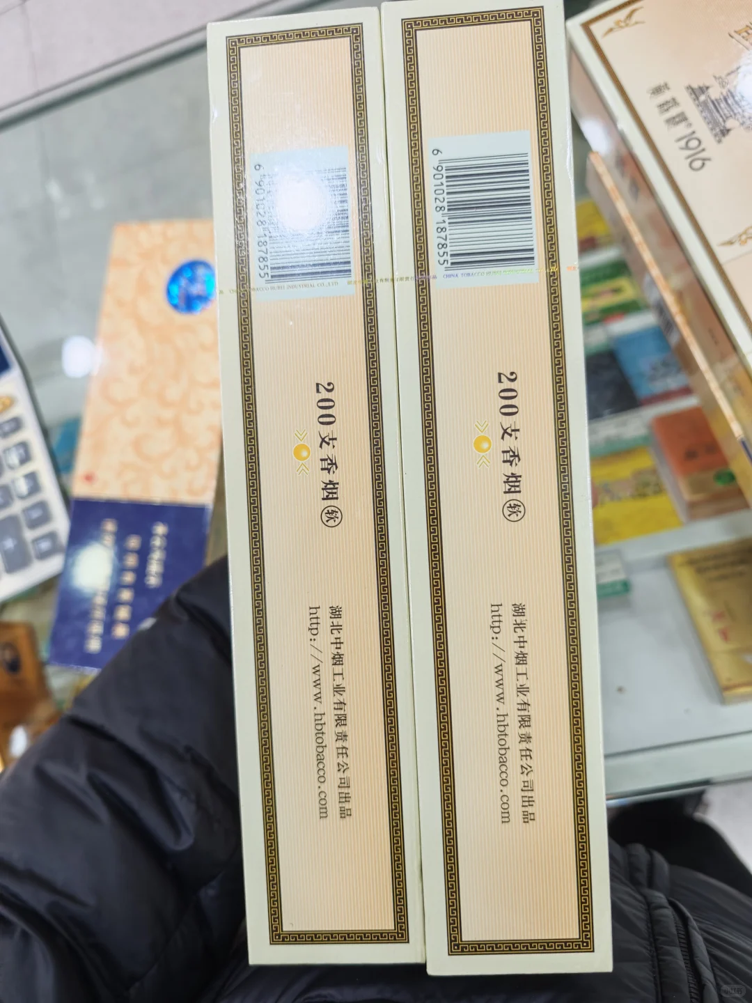 假软1916
