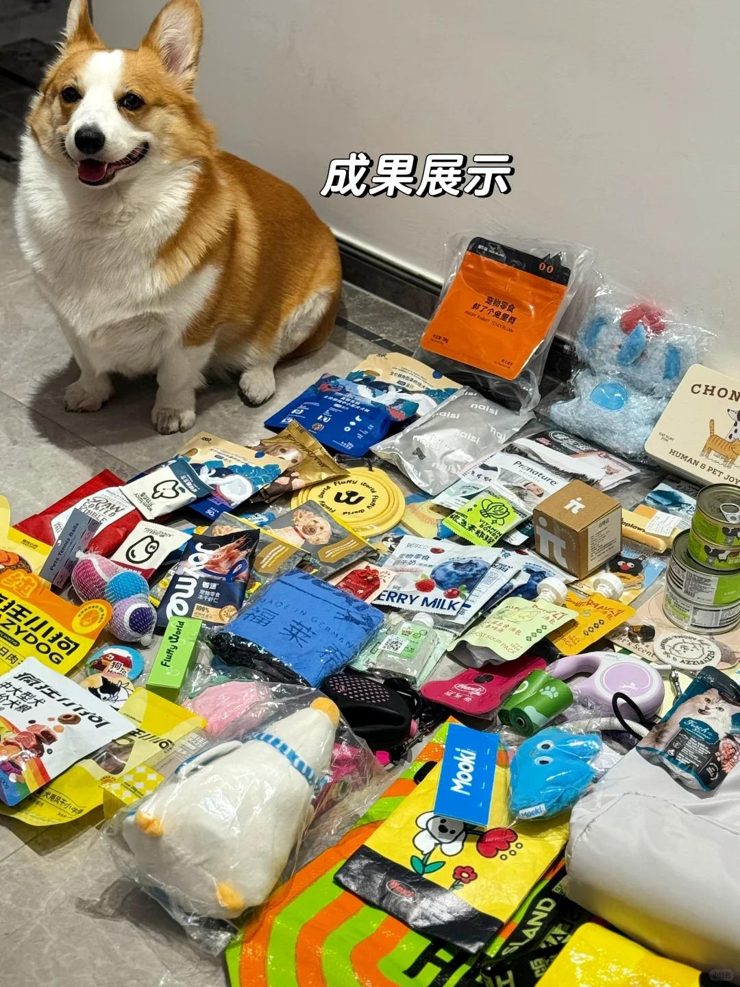 ?深圳华南国际宠物展攻略｜好逛展位分享
