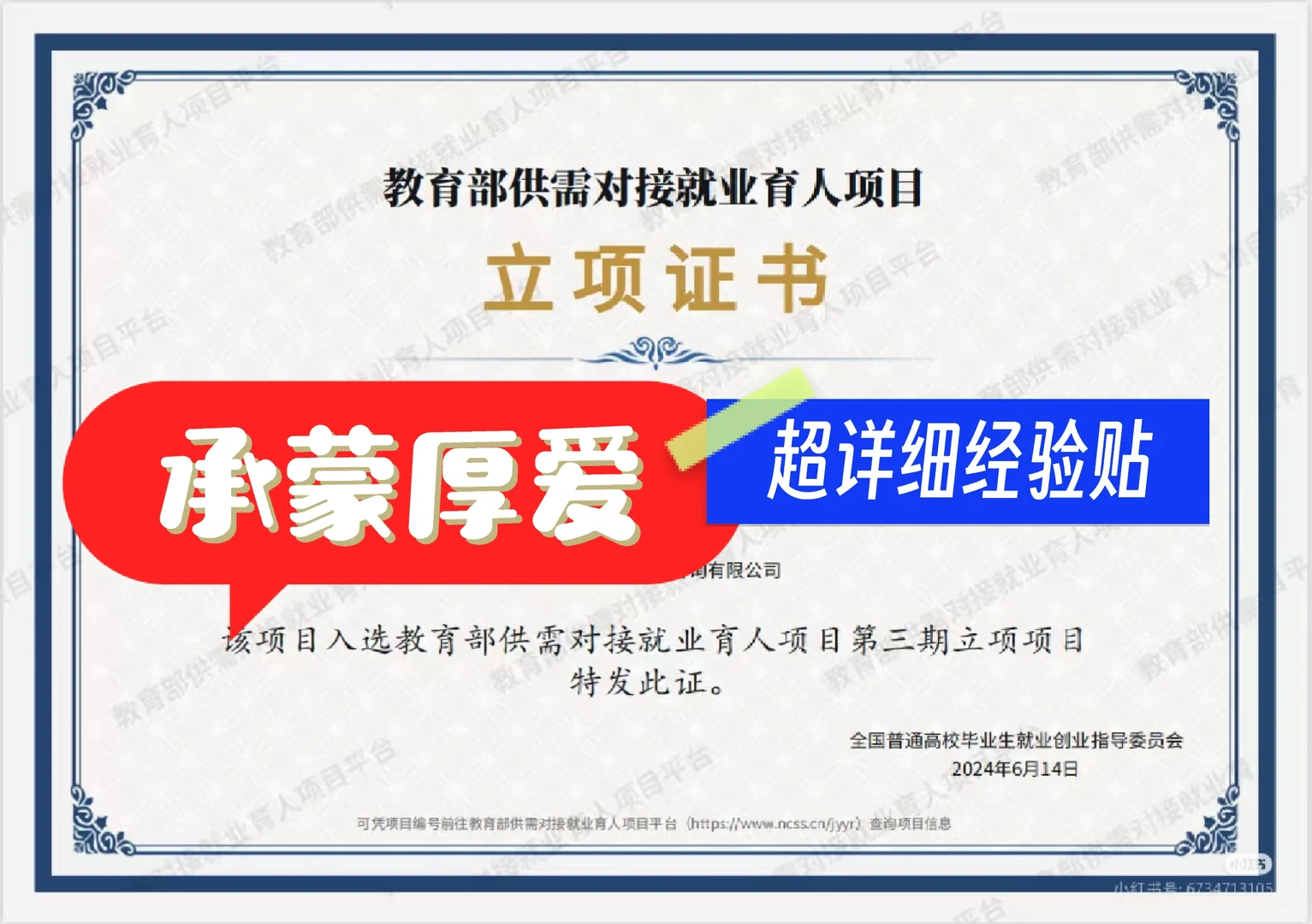 横向-教育部供需对接就业育人项目怎么报？