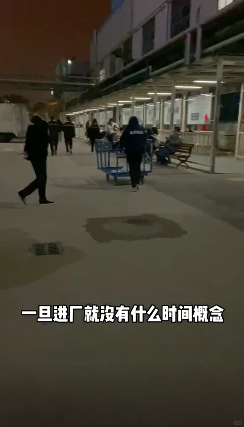 学生工进厂实录｜25/h买走的青春有多窒息