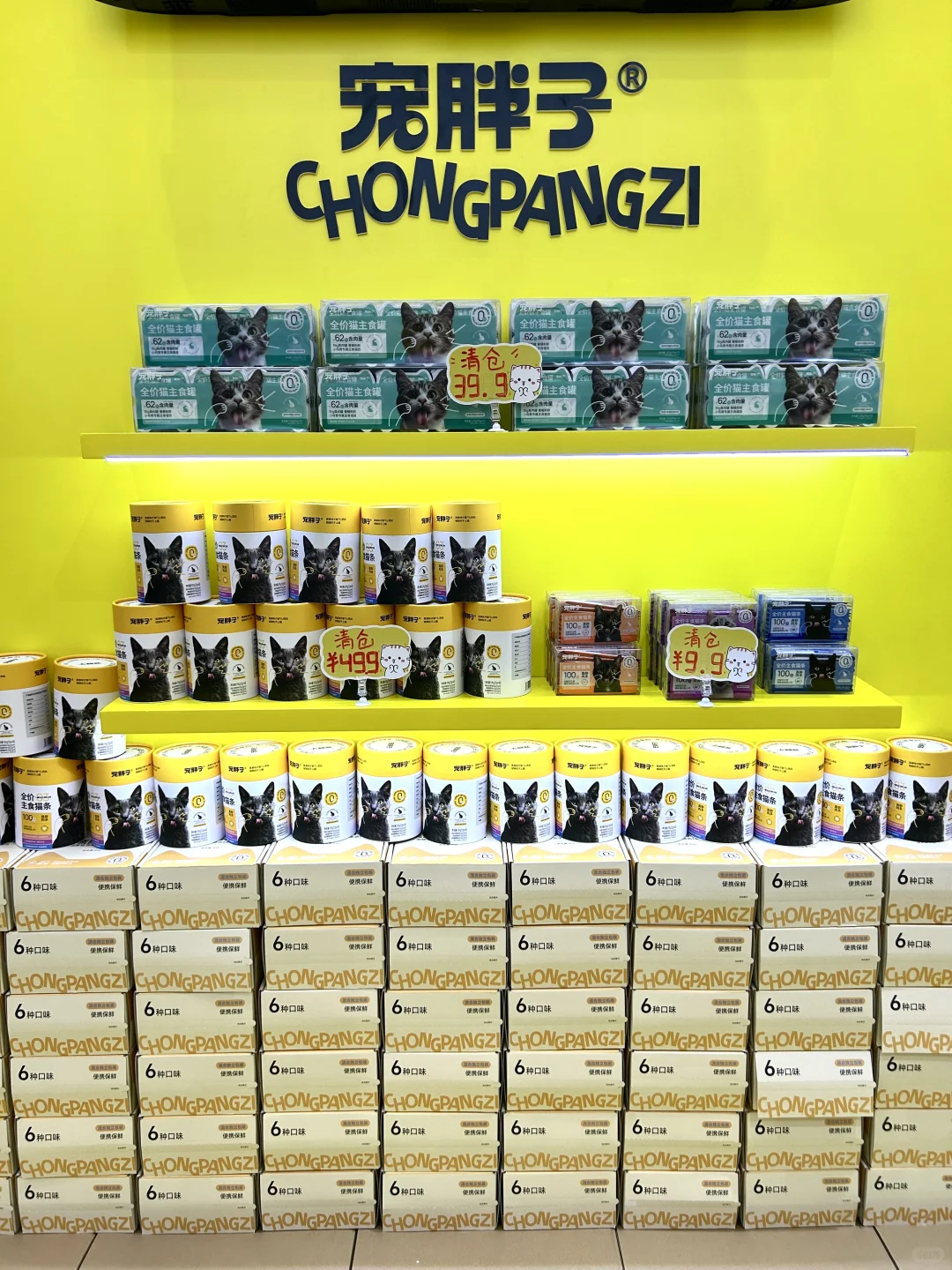 云逛店｜11张live图?带你沉浸式逛宠胖子