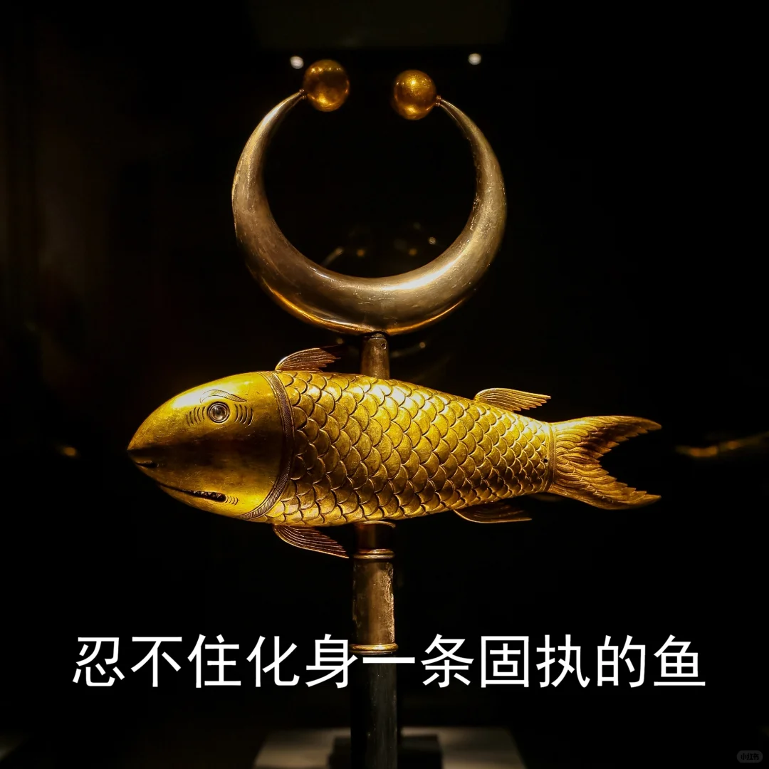 深博歹物：搞抽象我是认真的