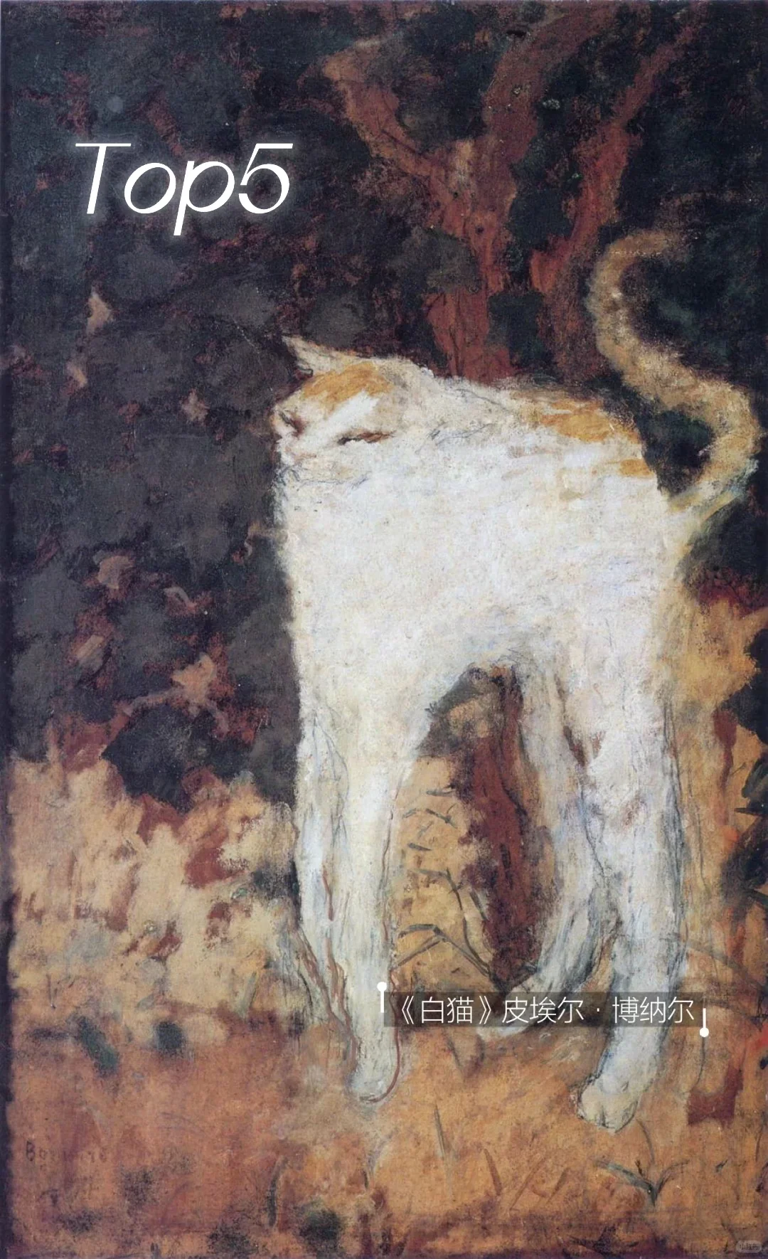 调研报告｜本届中国观众更喜欢哪些展品