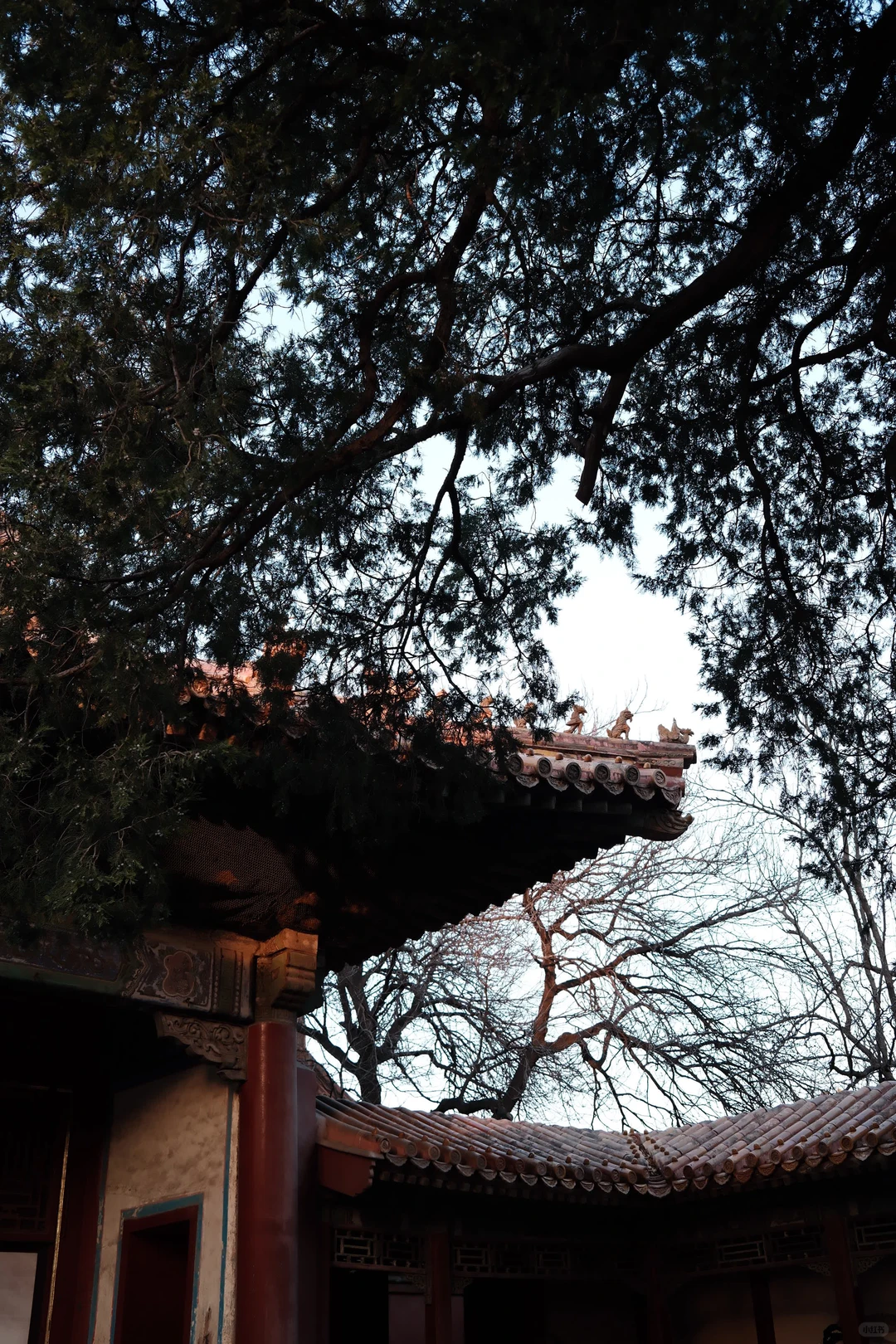 冬日北京故宫