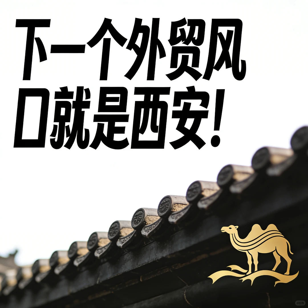 外贸悄悄崛起