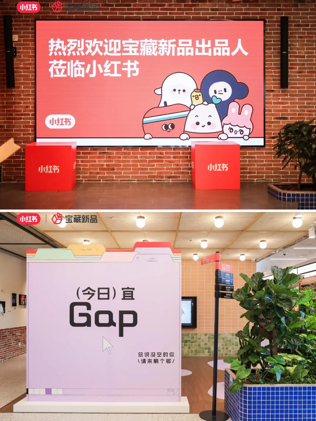 活动策划|案例分享|小红书宝藏新品发布会