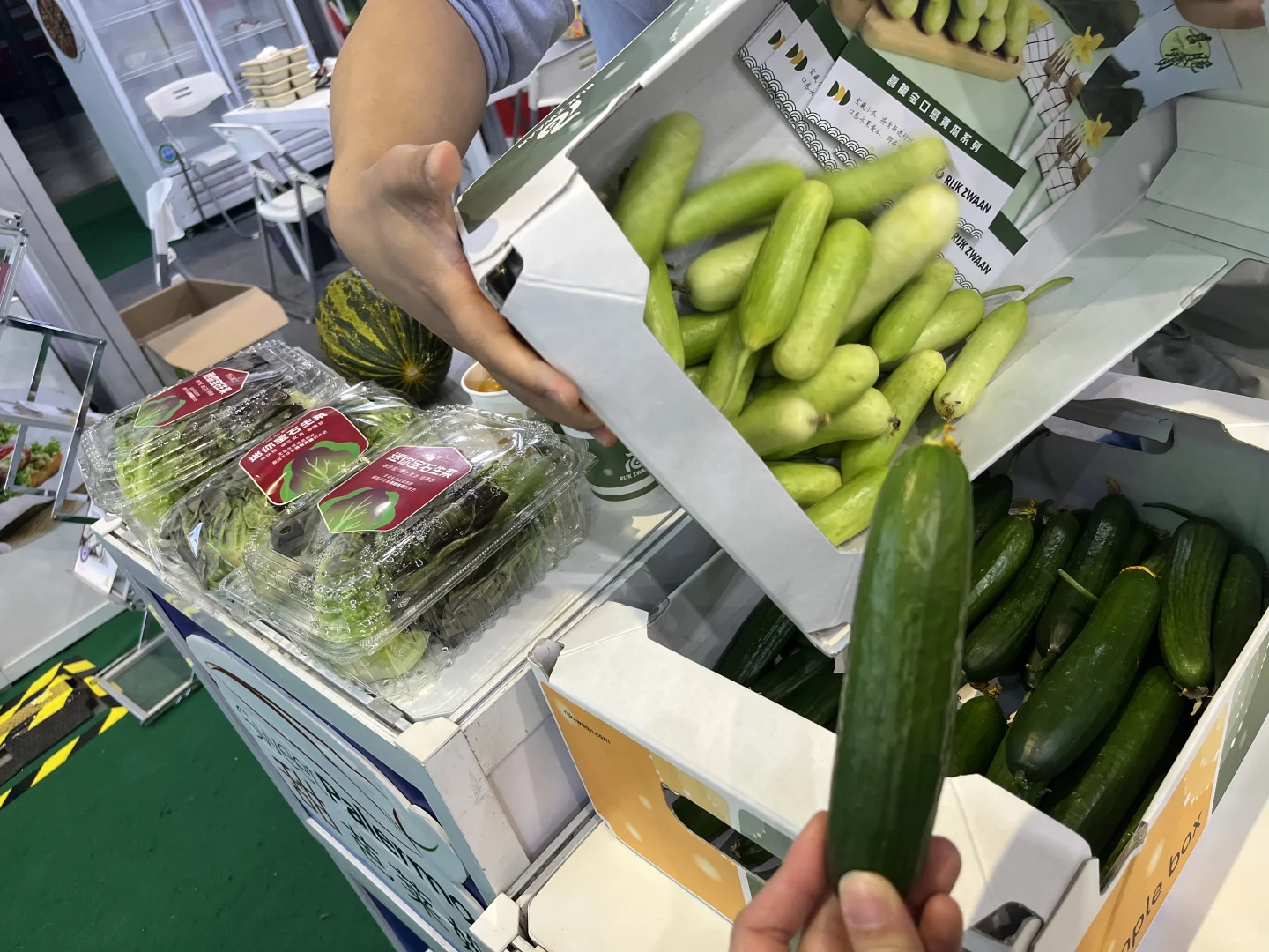上海进博会佛系暴走8小时攻略