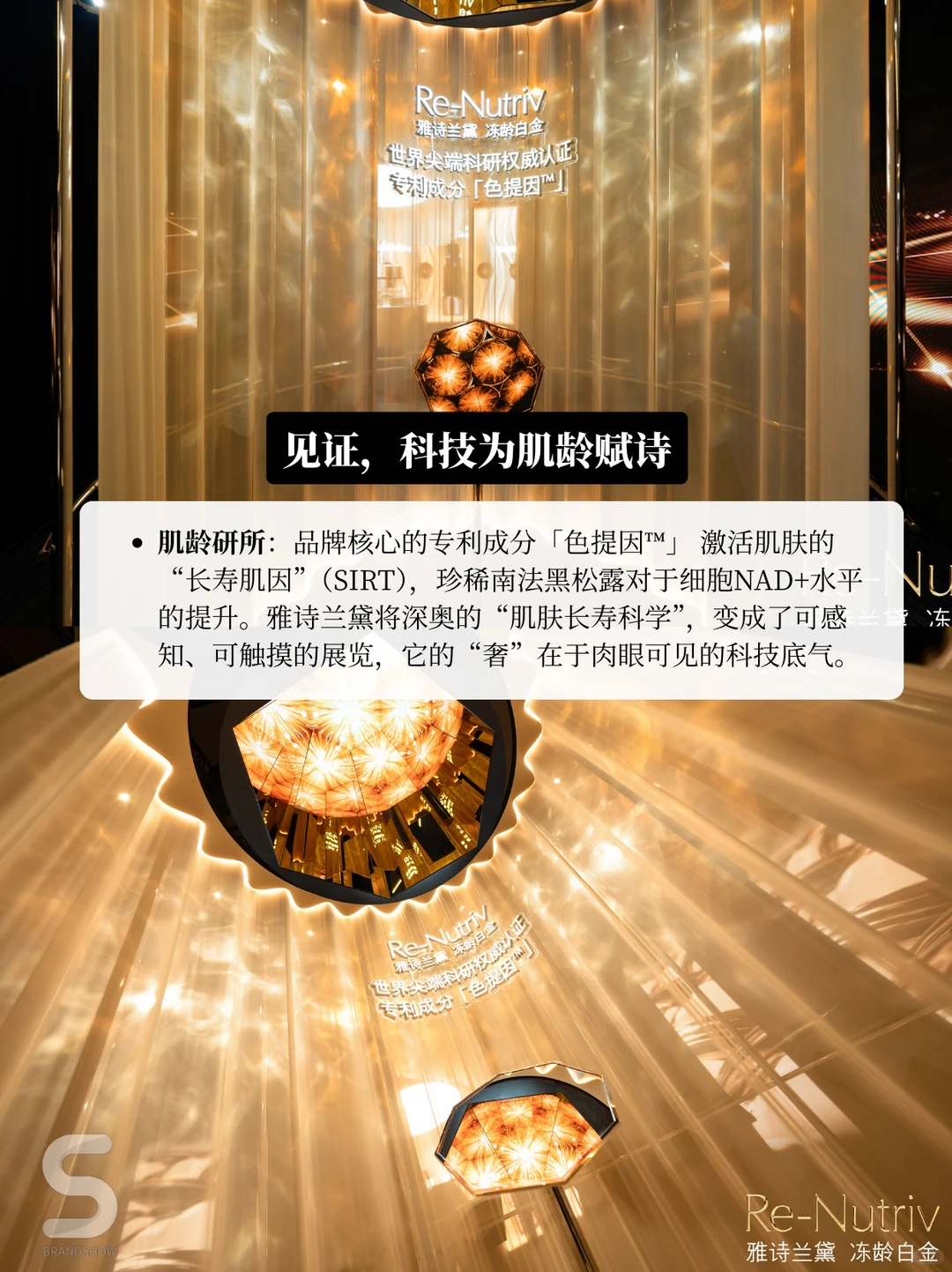 雅诗兰黛白月光音乐会—朱一龙同款肌密揭晓