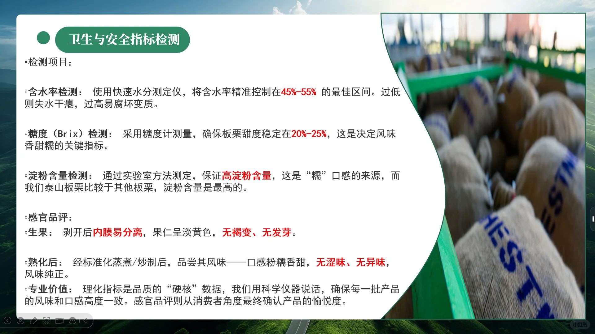中国板栗工厂、板栗外贸企业
