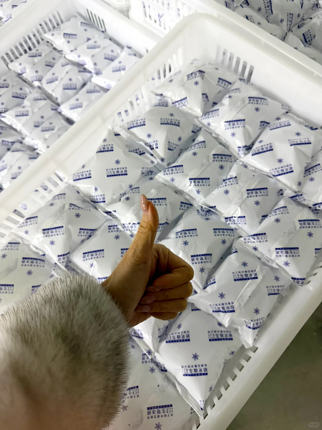 食品果蔬保鲜生物冰袋家用生鲜快递