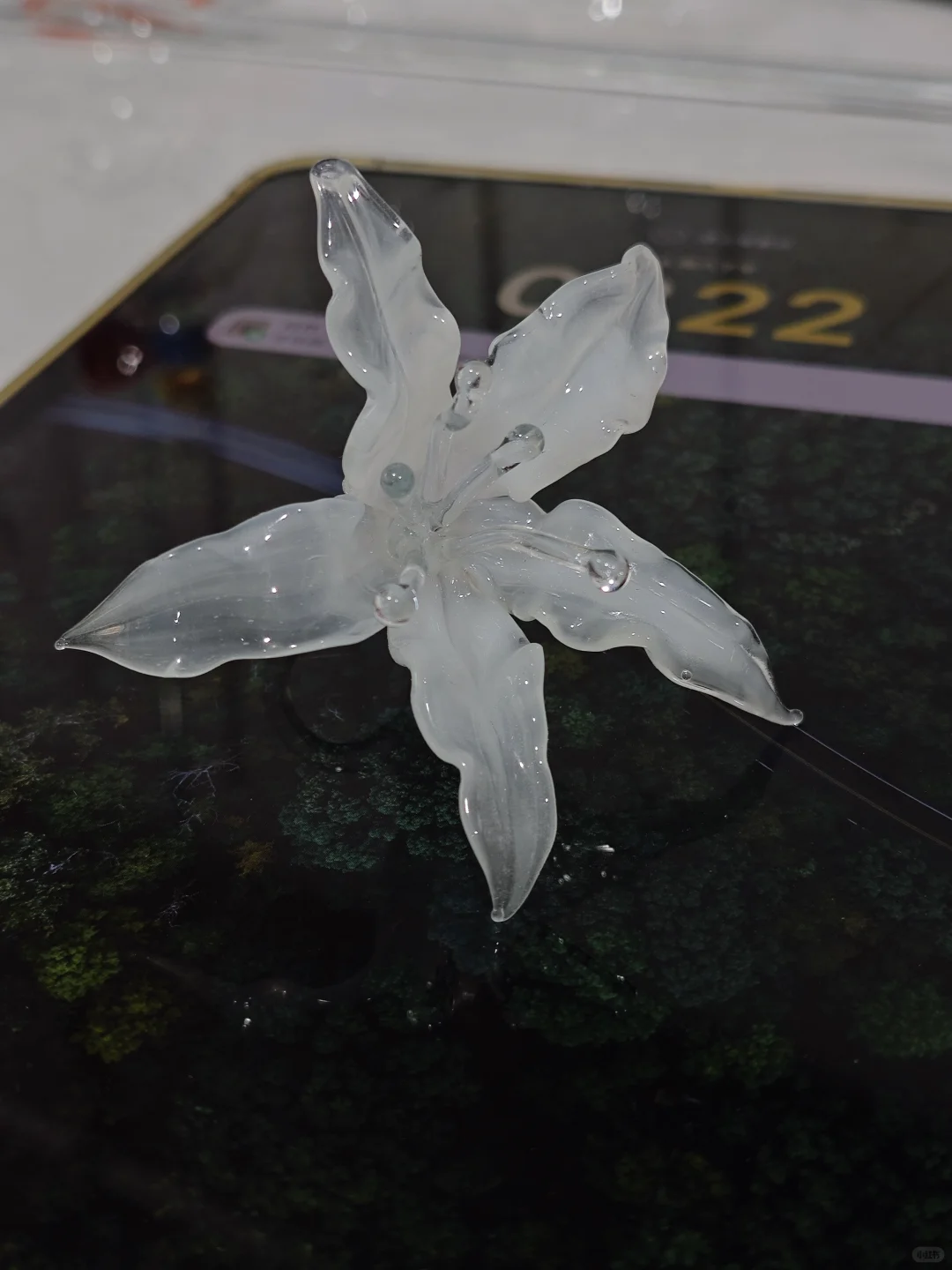 客作展示✨景德镇烧玻璃39一小时?