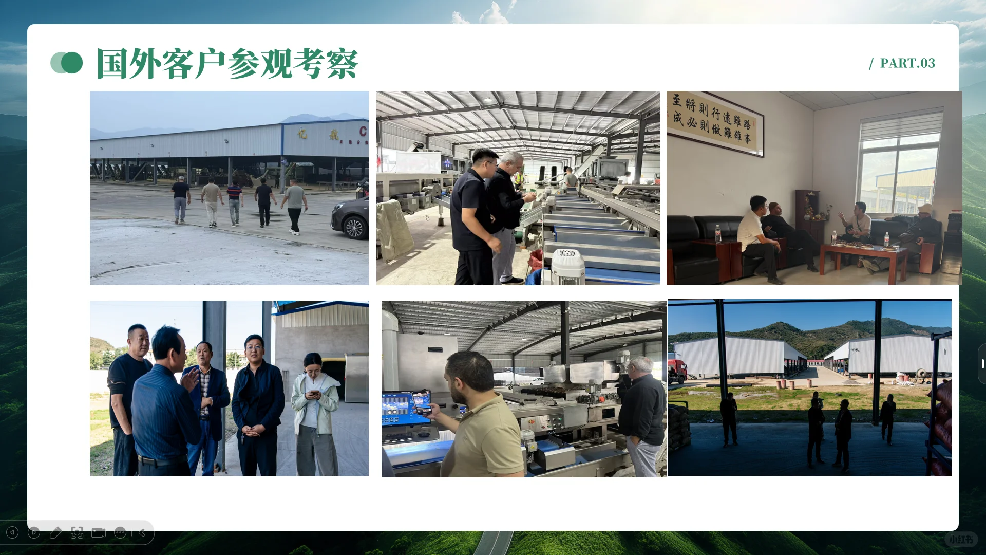 中国板栗工厂、板栗外贸企业